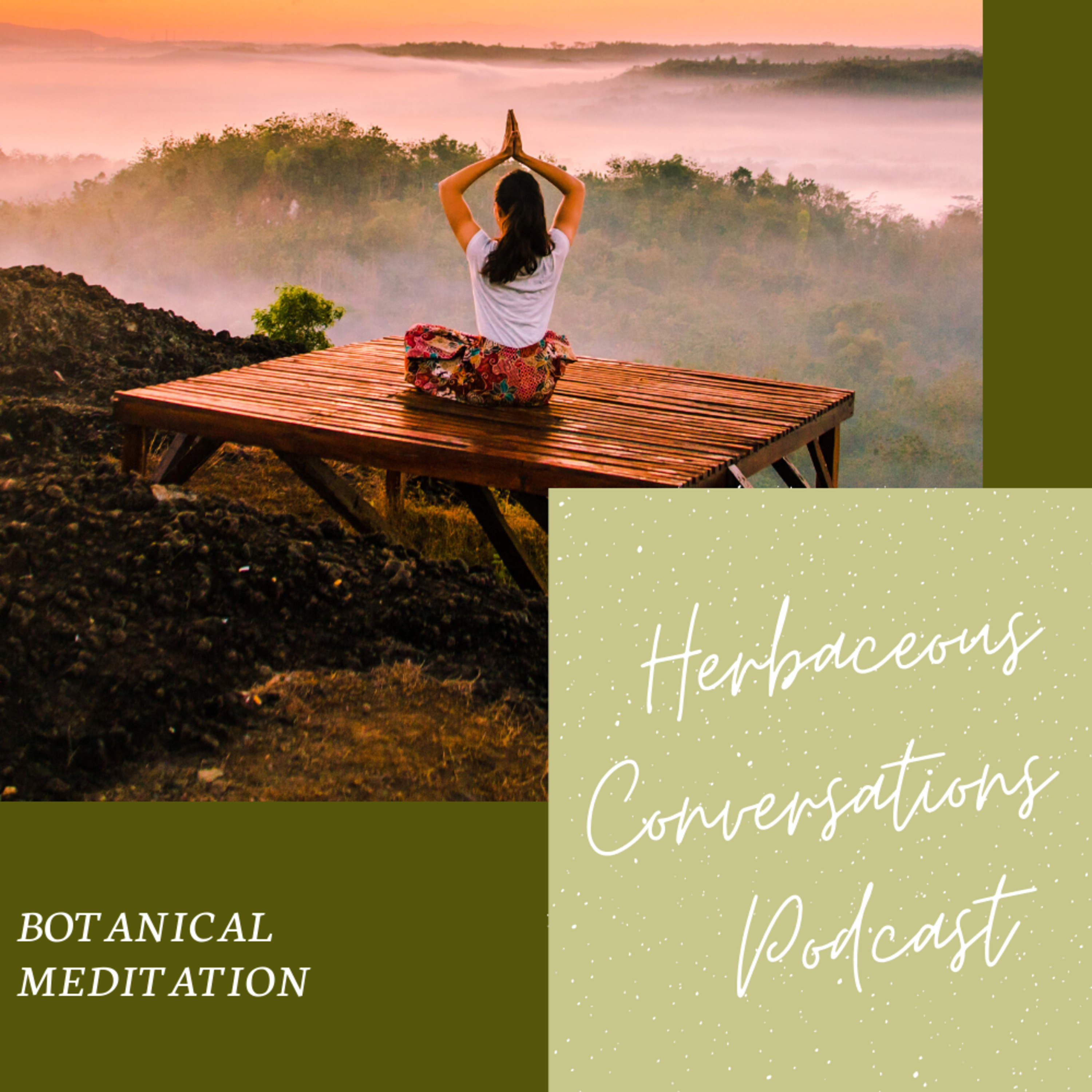 Botanical Meditation // Episode 7 episode artwork