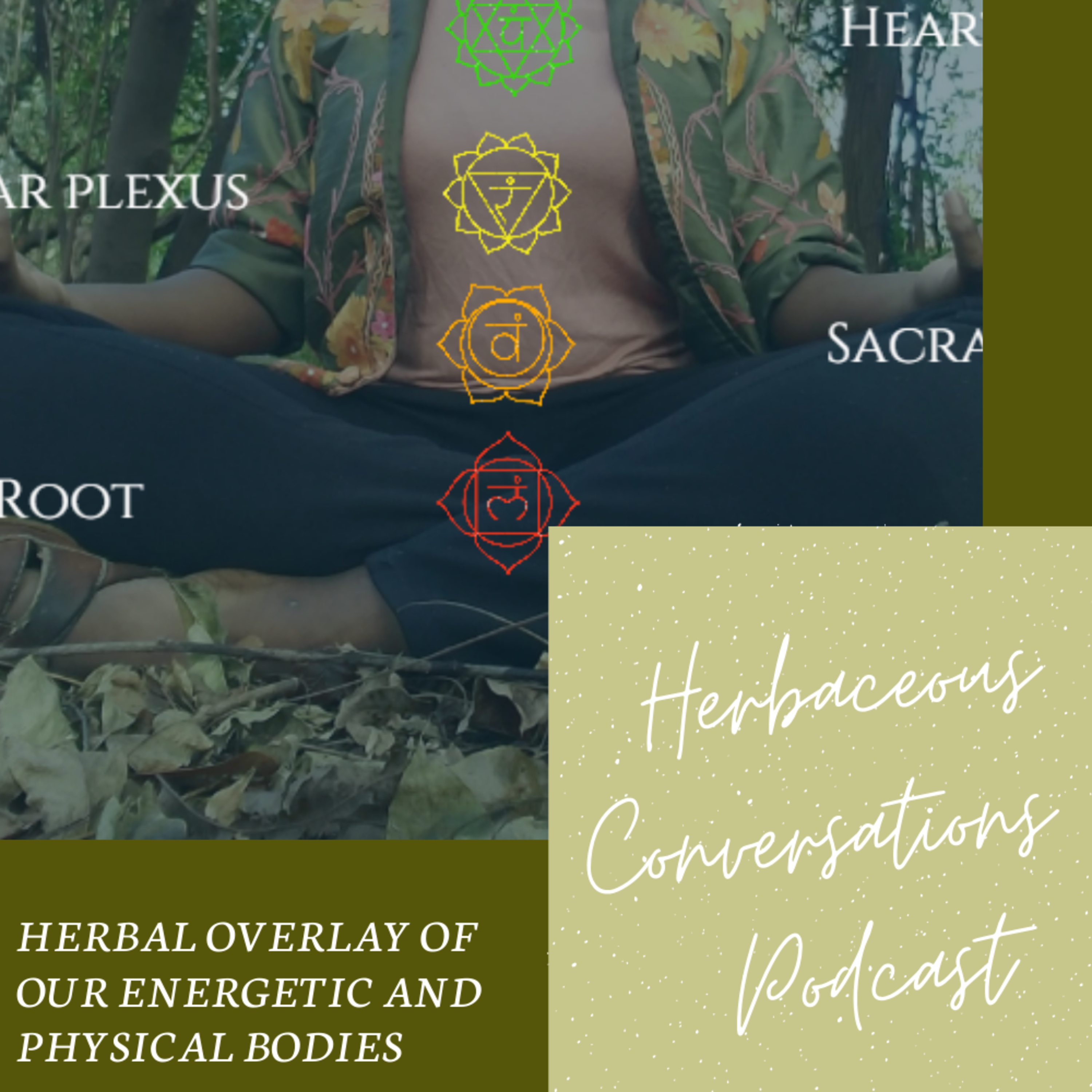 Herbal Overlay of Our Energetic and Physical Bodies // Episode 11