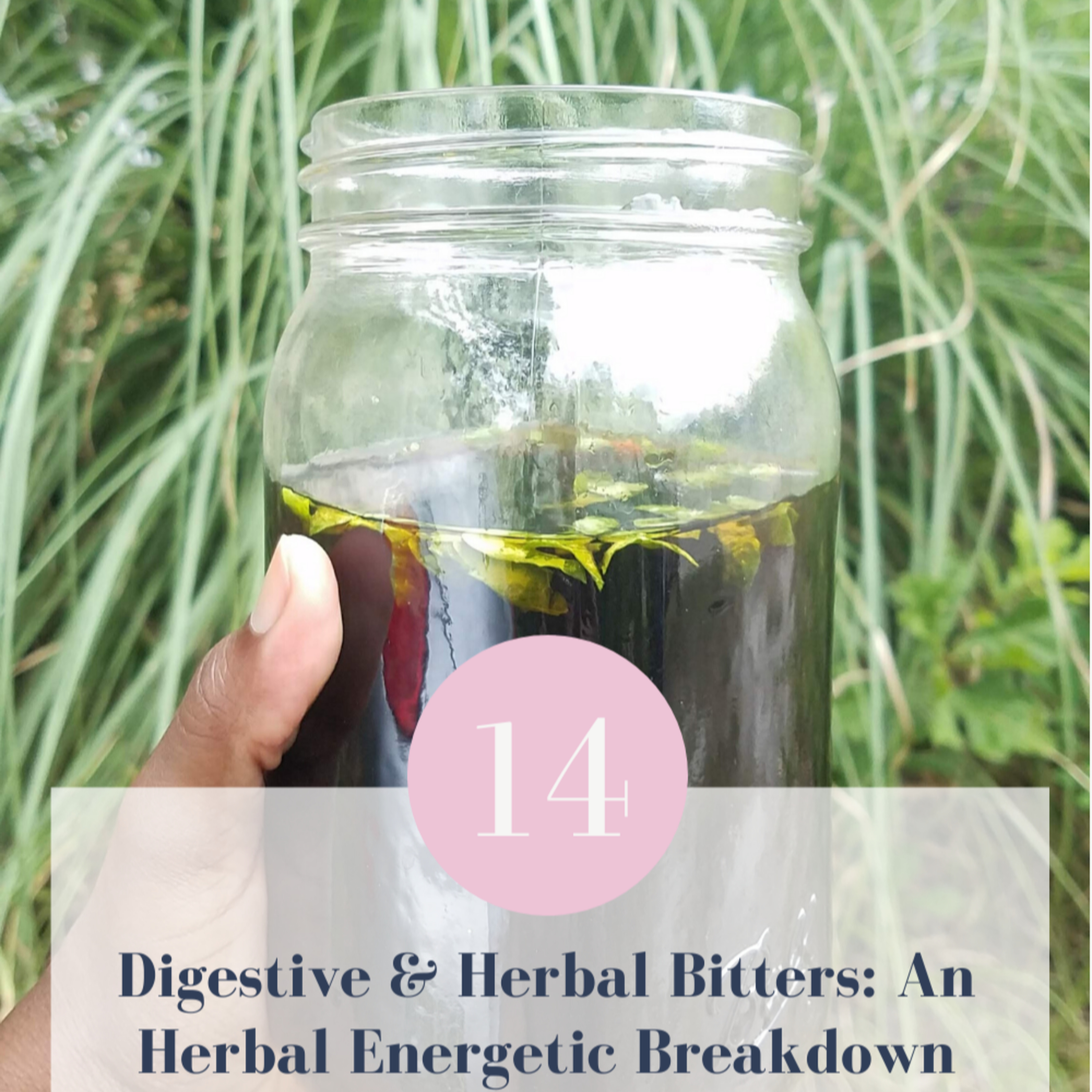 Digestive & Herbal Bitters: An Herbal Energetic Breakdown // Episode 14 episode artwork