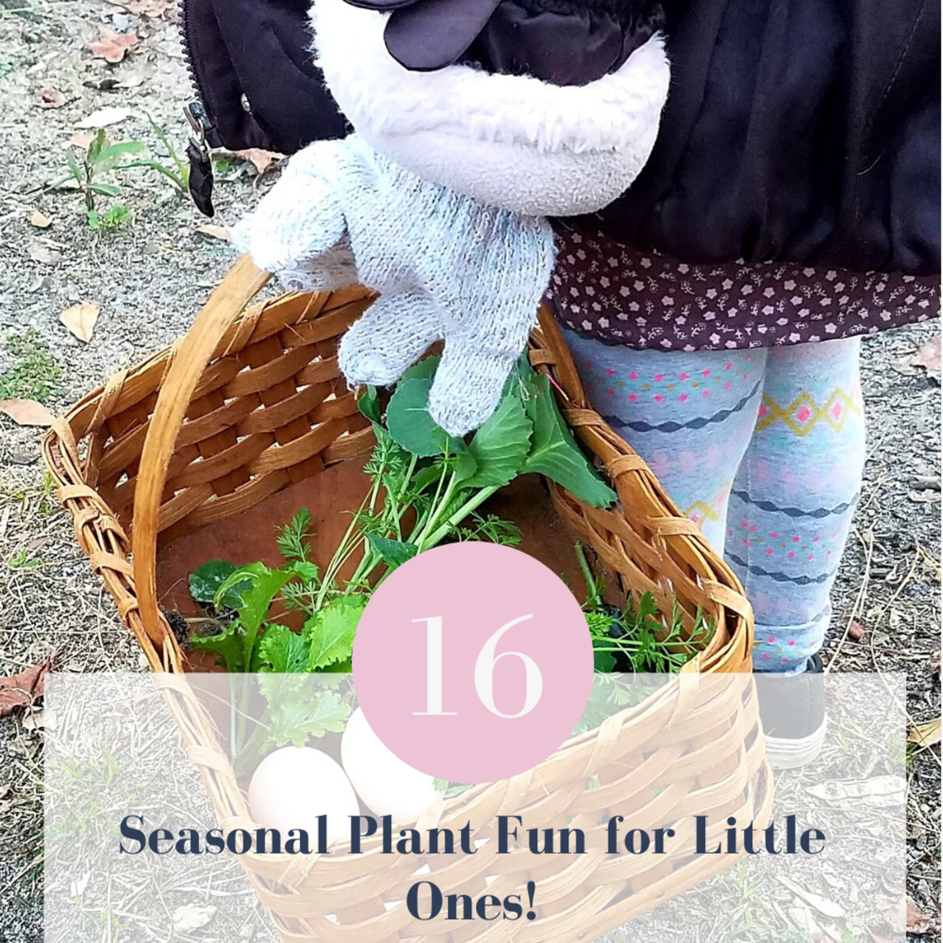 Seasonal Plant Fun for Little Ones! // Episode 16 episode artwork