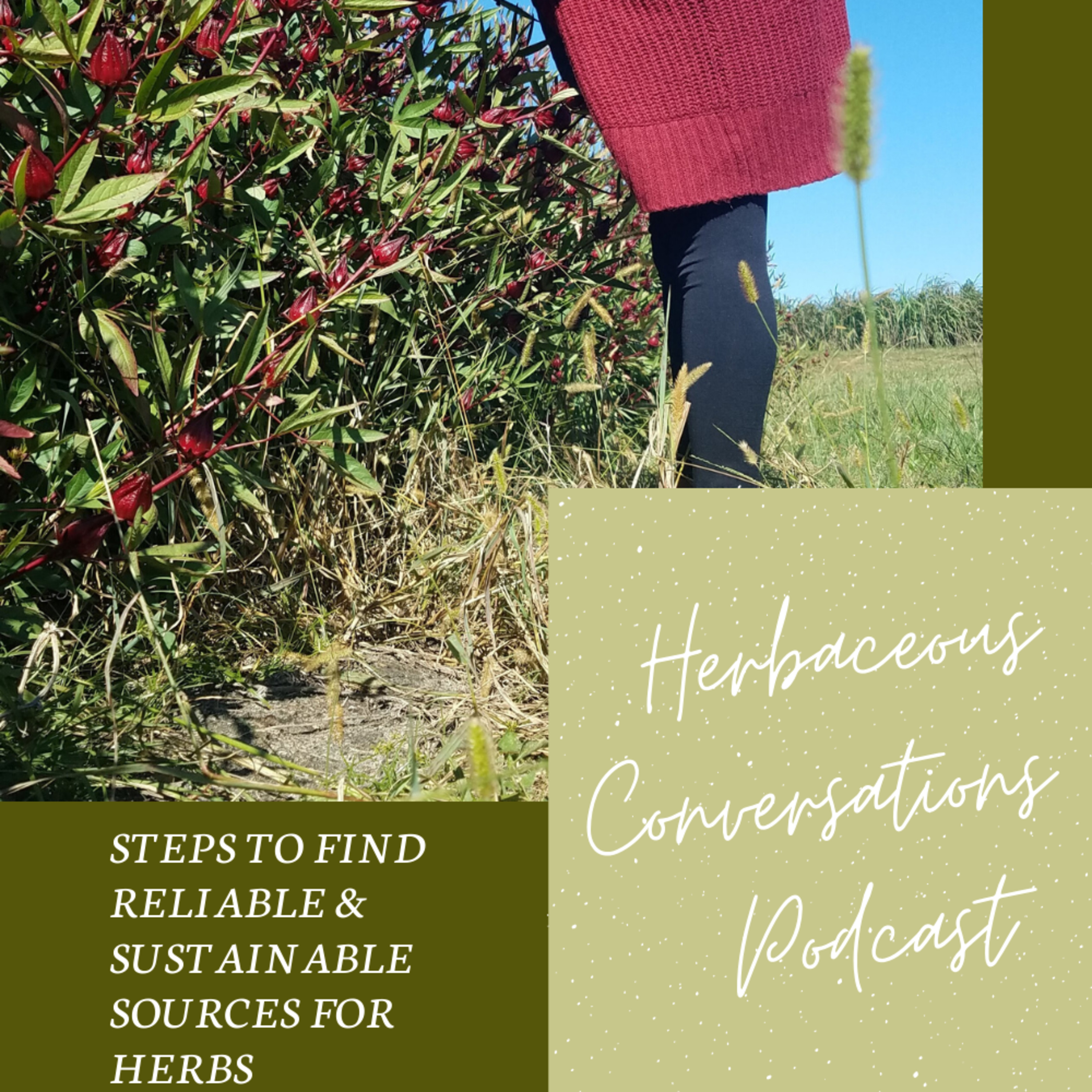 Steps to Find Reliable & Sustainable Sources for Herbs // Episode 18 episode artwork