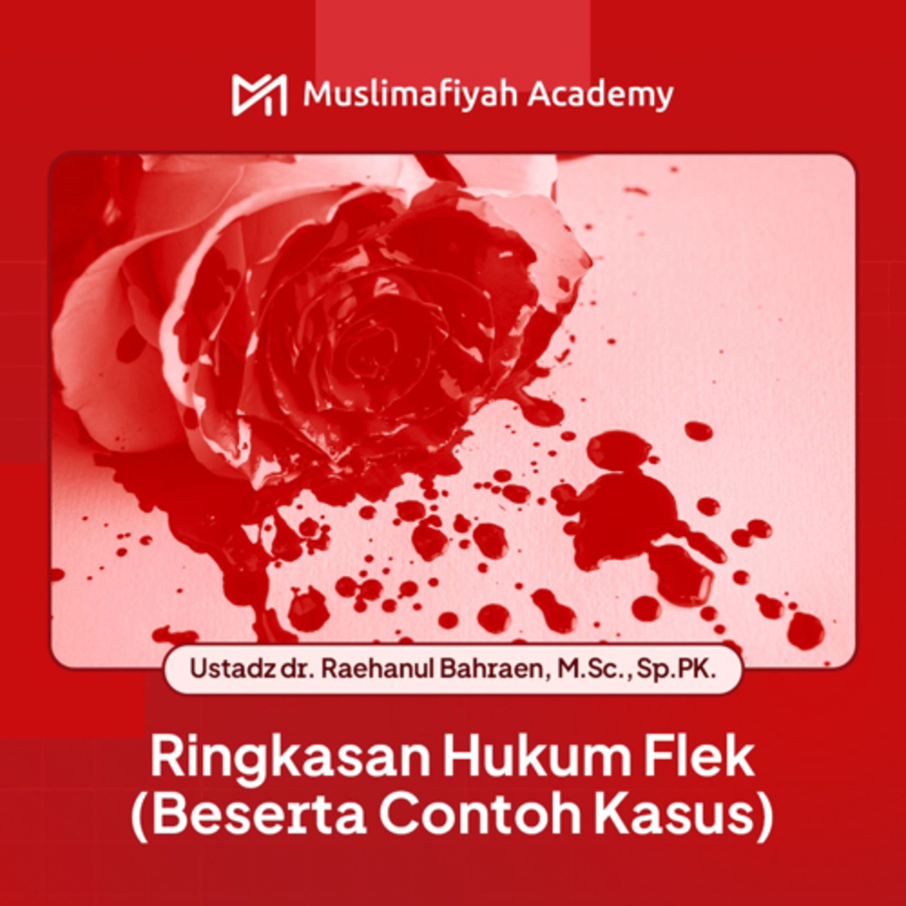 Ringkasan Hukum Flek episode artwork