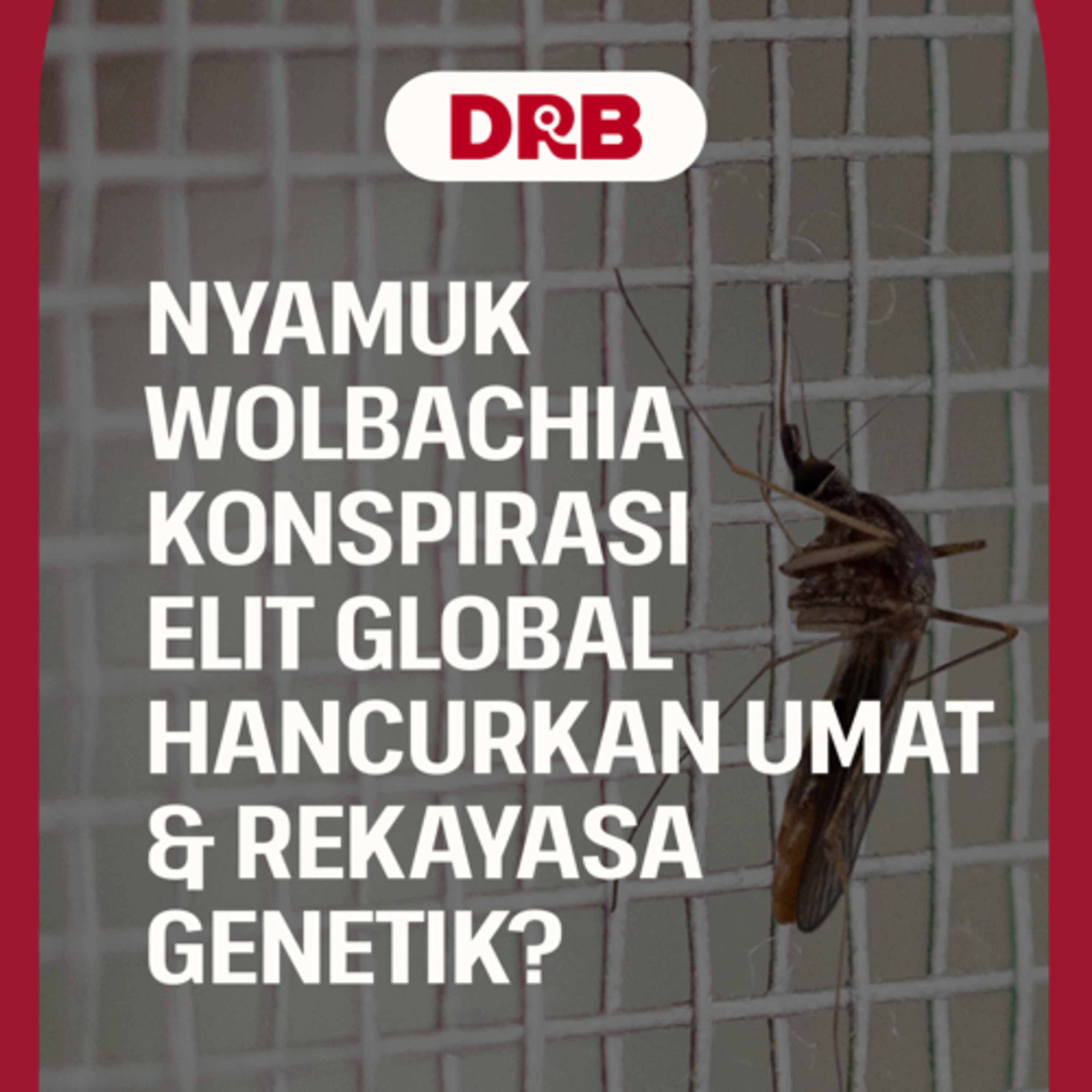 Nyamuk Wolbachia Konspirasi Elit Global Hancurkan Umat & Rekayasa Genetik? episode artwork