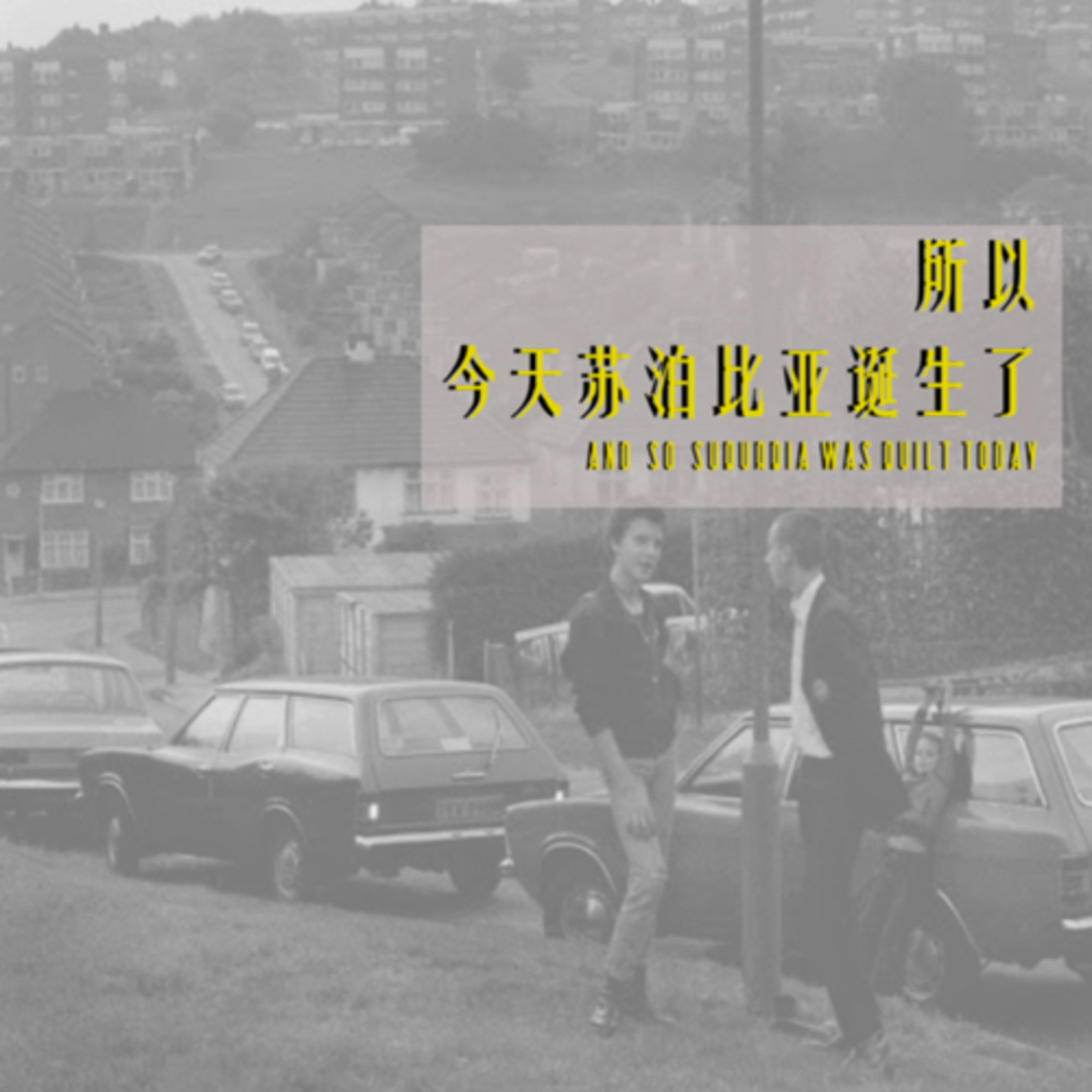 cover of episode 前导20210531｜逛街看电影安阳拒绝了我，但我说一起播客聊天，她马上答应了我