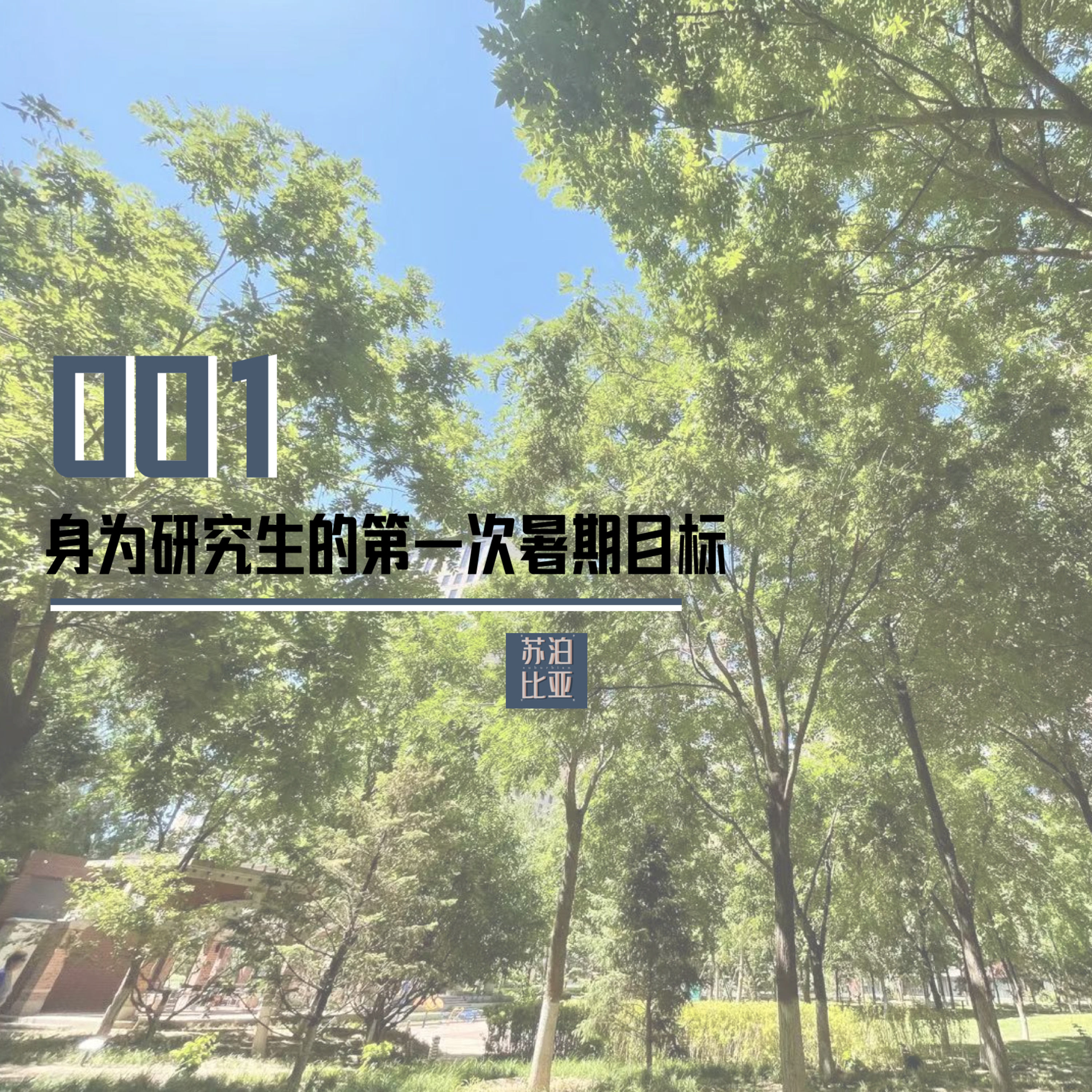 cover of episode 001. 我们来聊聊研究生的第一次暑期目标！等等，怎么聊到了安老计划咧…