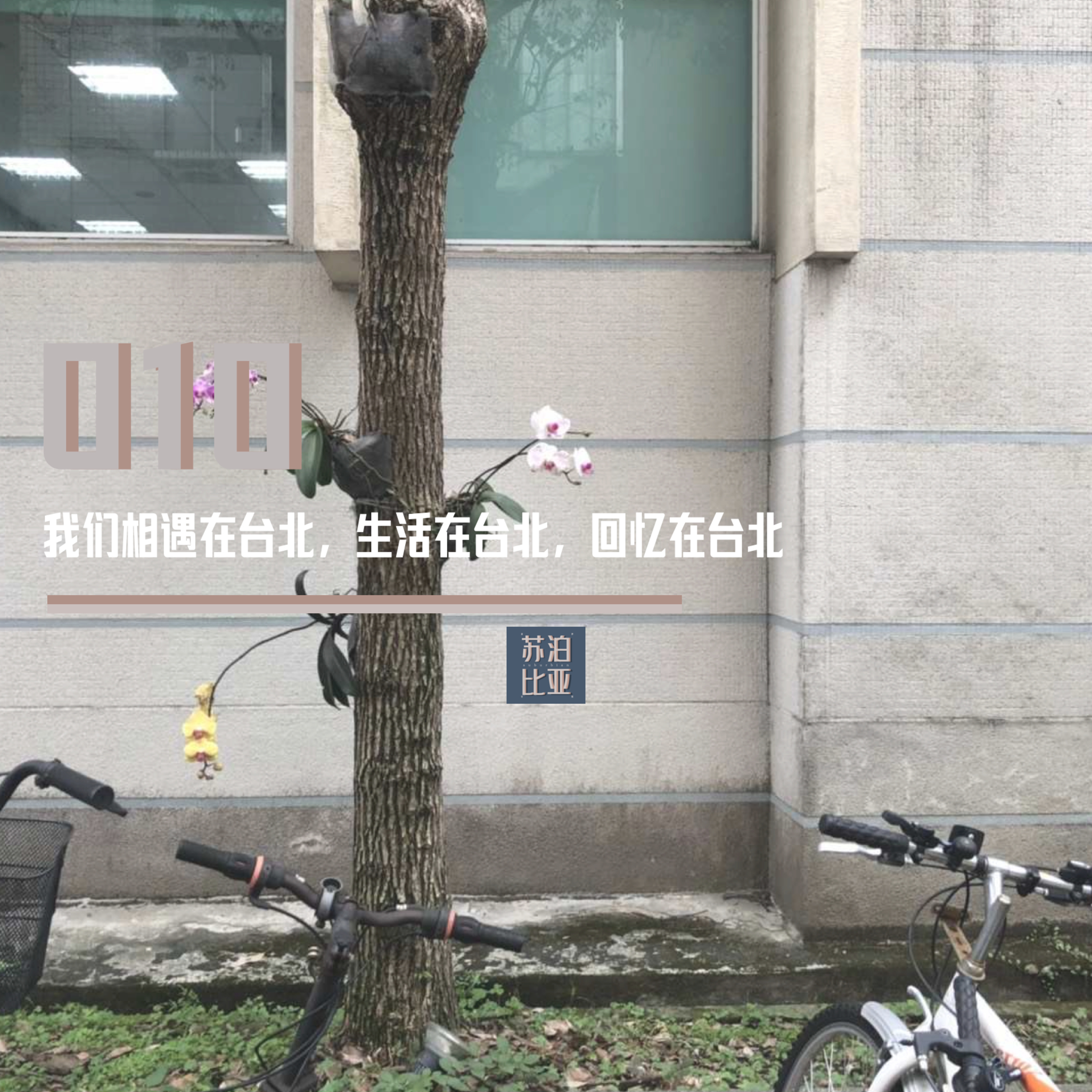 cover of episode 010. 我们相遇在台北，生活在台北，回忆在台北