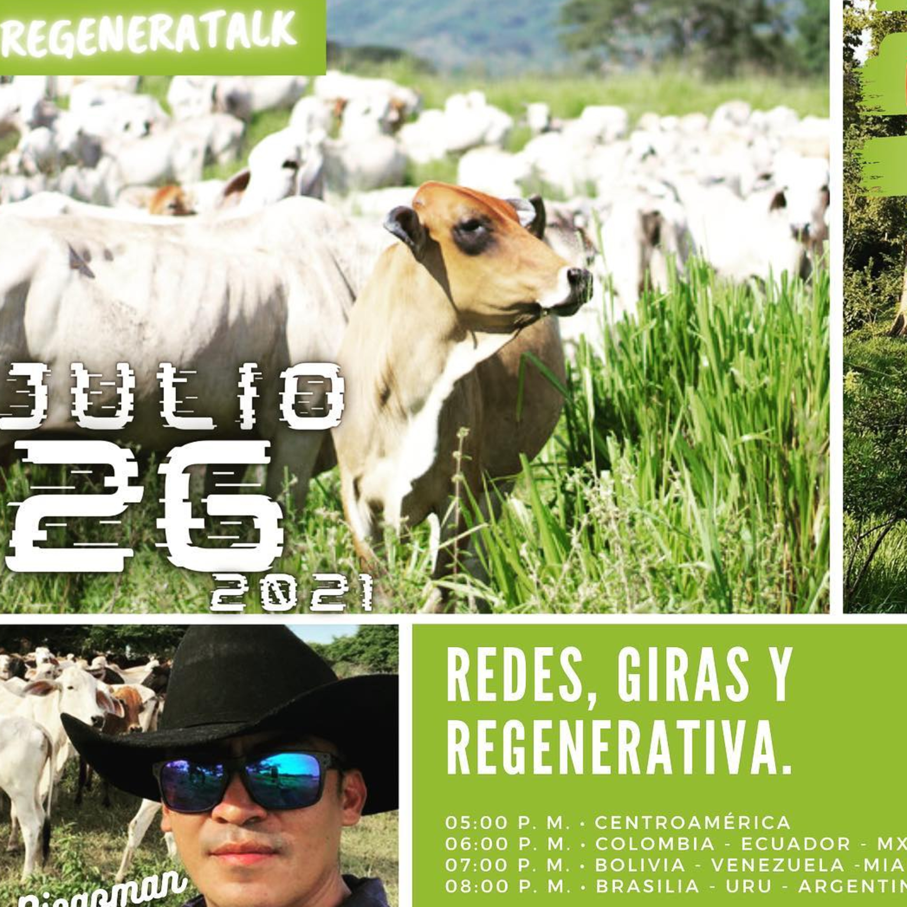 REGENERATALKS