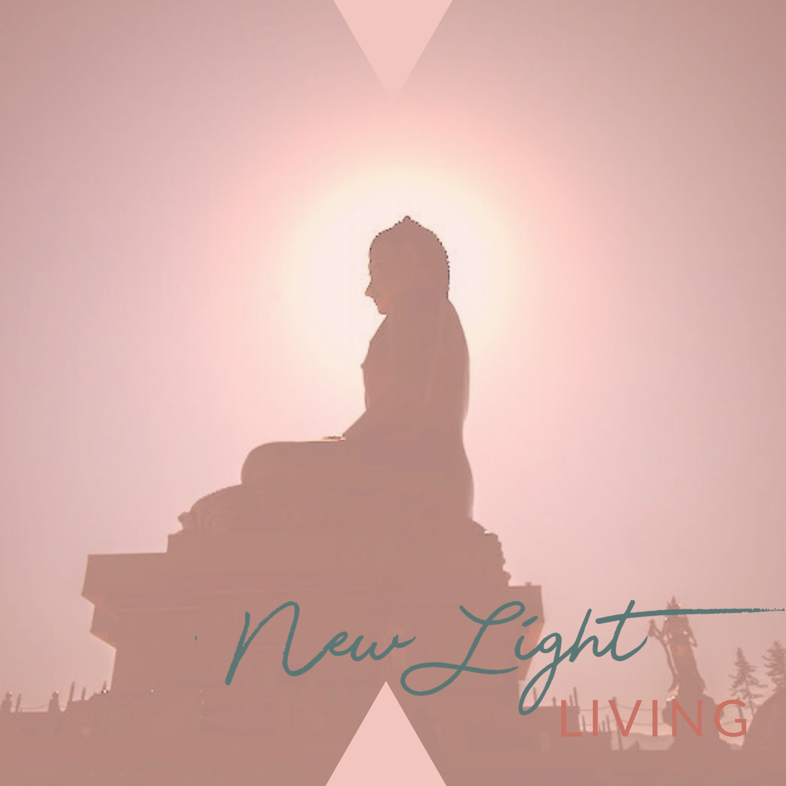 New Light Living - See Your Life in a New Light!
