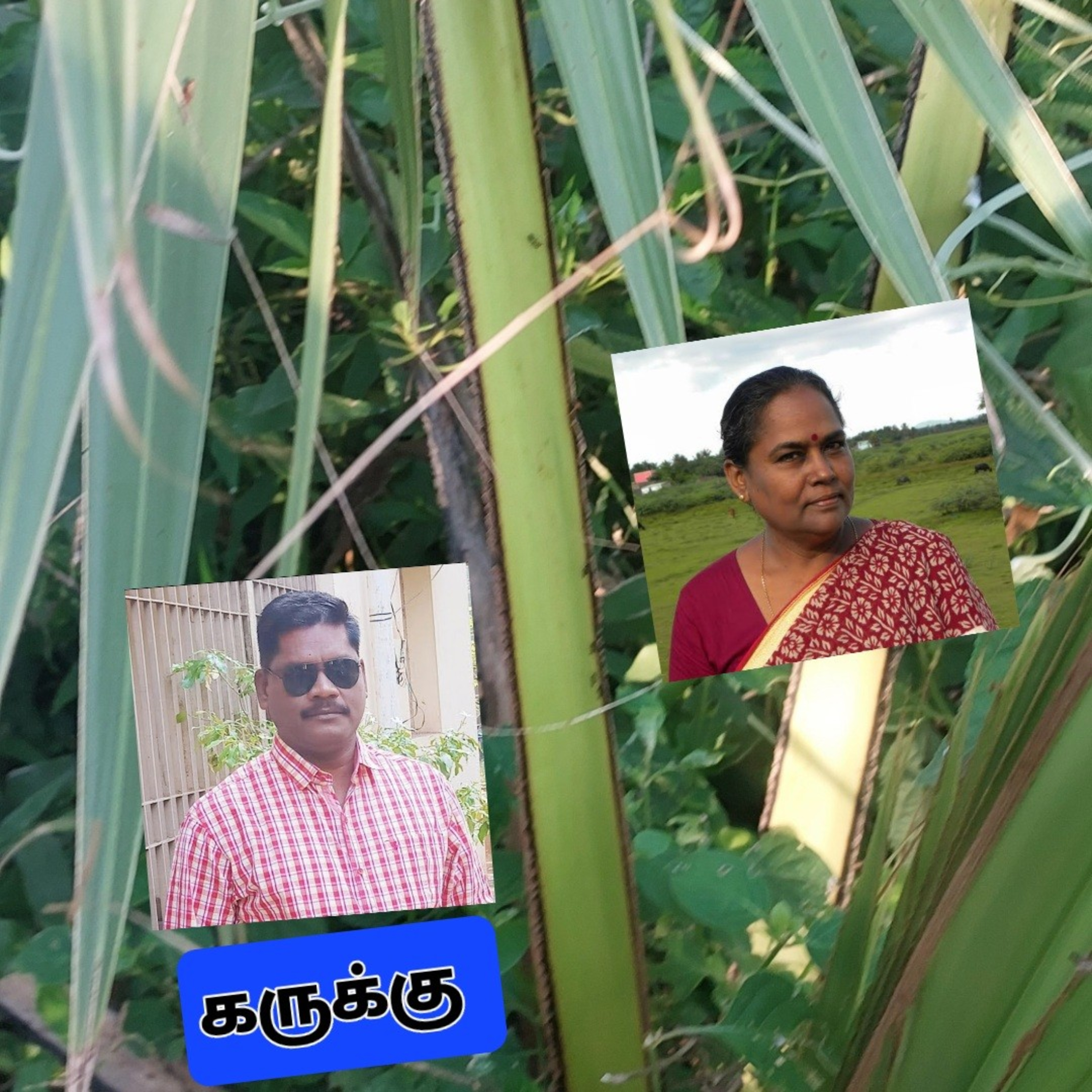 Karukku written by Bama read by Adisivane Abishegapakkam Pondicherry.Cell.9360746310 episode artwork