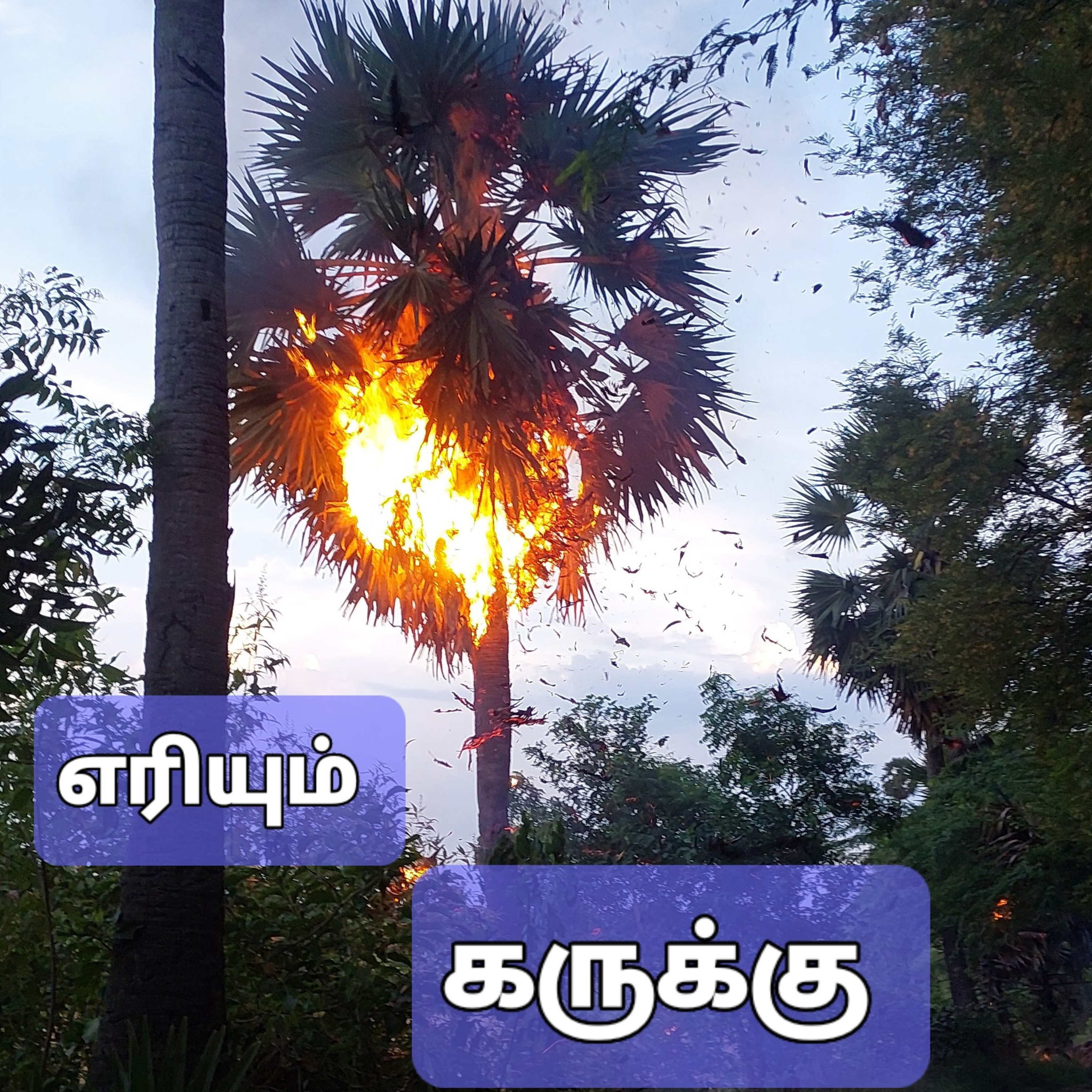 KARUKKU(கருக்கு)-Novel by Bama read by Adisivane,Abishegapakkam,Pondicherry.cell.9360746310 episode artwork