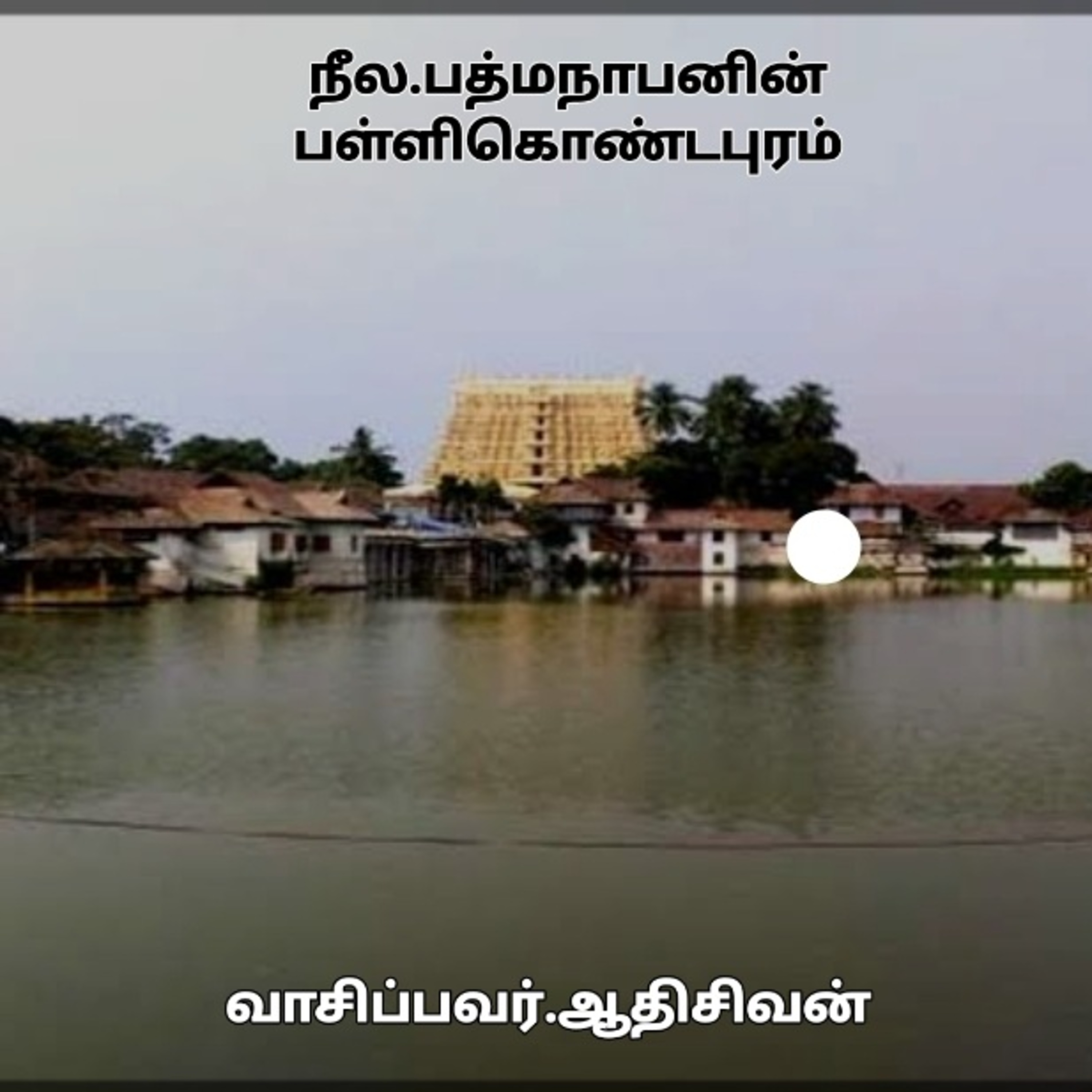 பள்ளிகொண்டபுரம்(17)-நாவல்-நீல.பத்மநாபன்-குரல்.ஆதிசிவன்.பாண்டிச்சேரி.தொ.எண்.9360746310 episode artwork