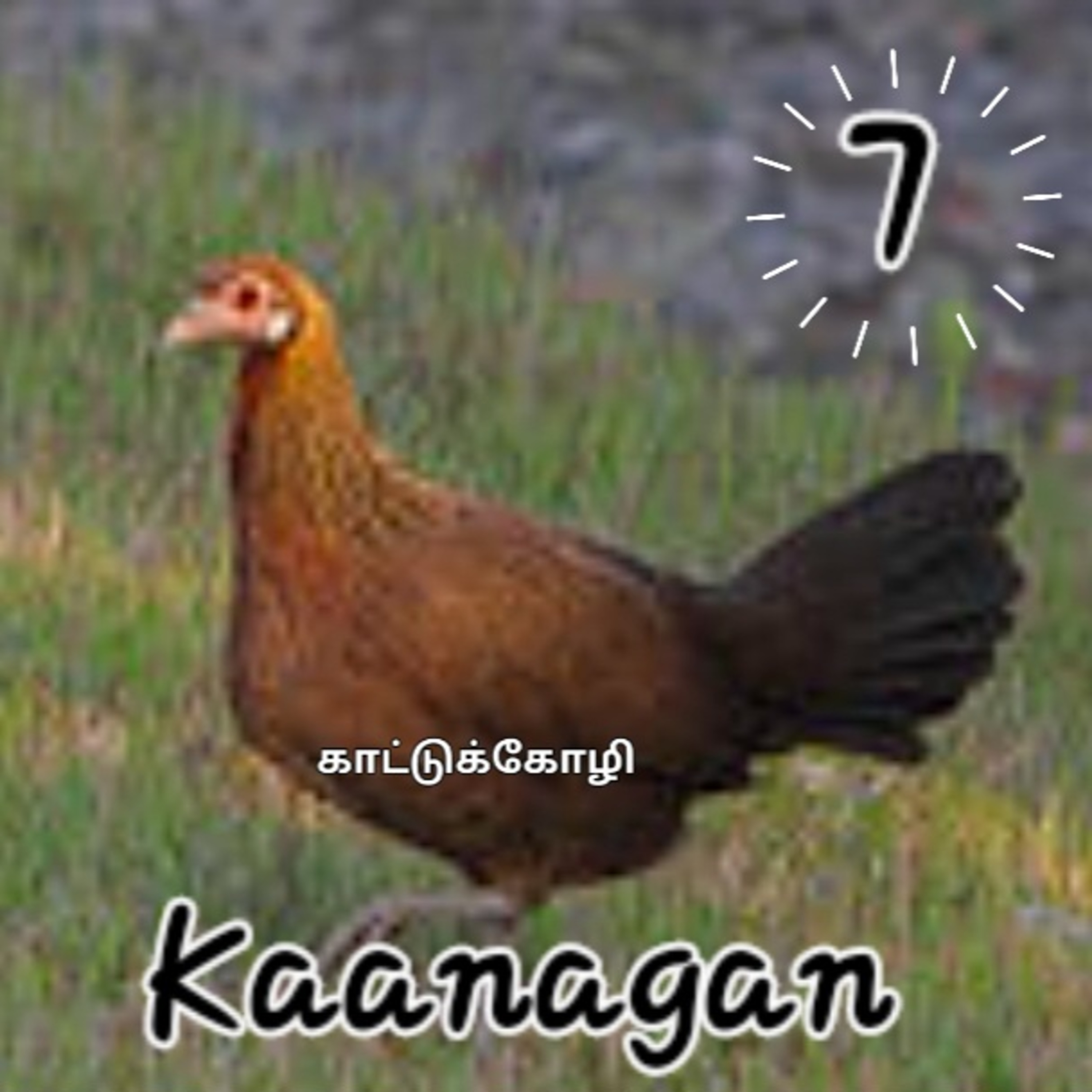 Kaanagan-Kaanagan-Kaanagan episode artwork