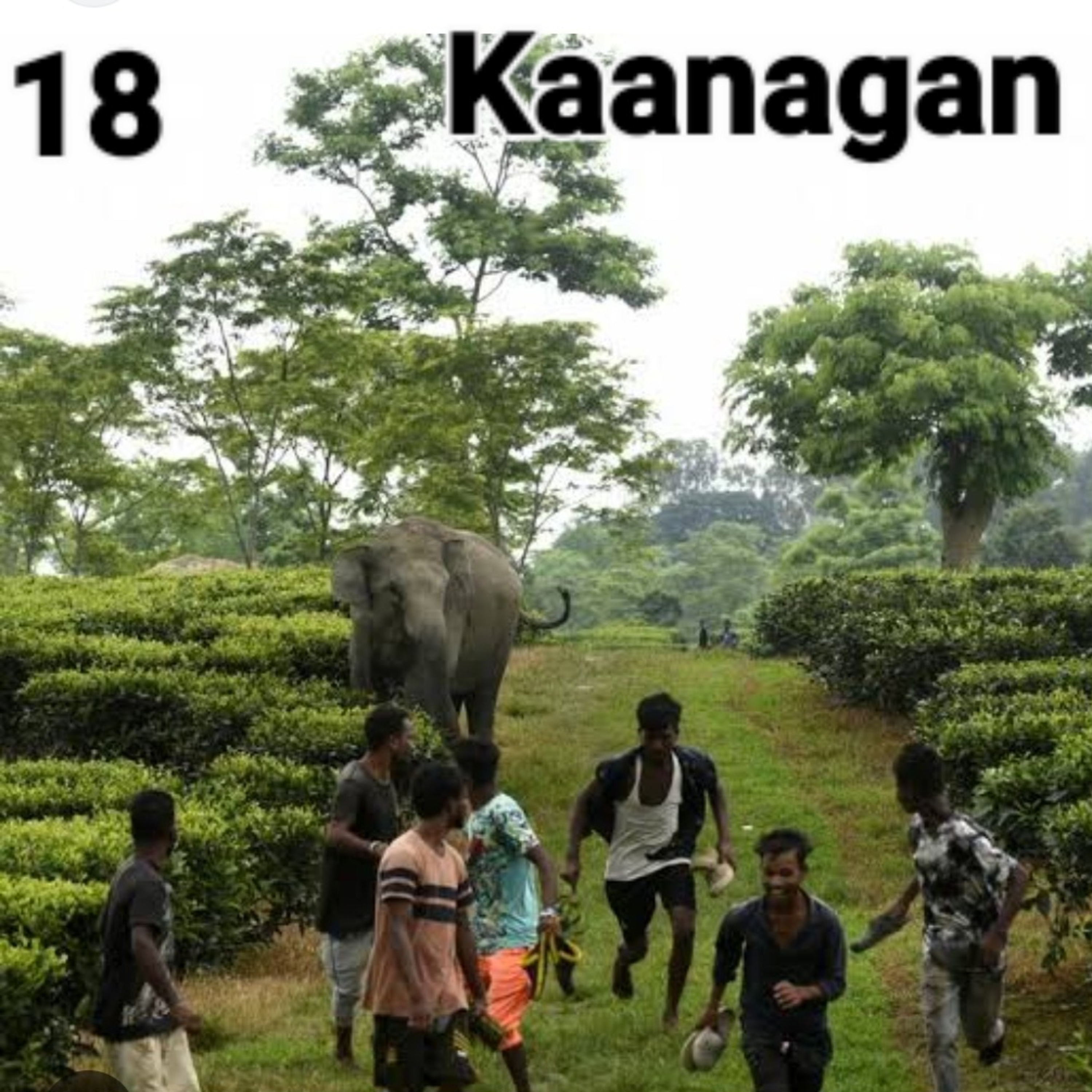 Kaanagan episode artwork