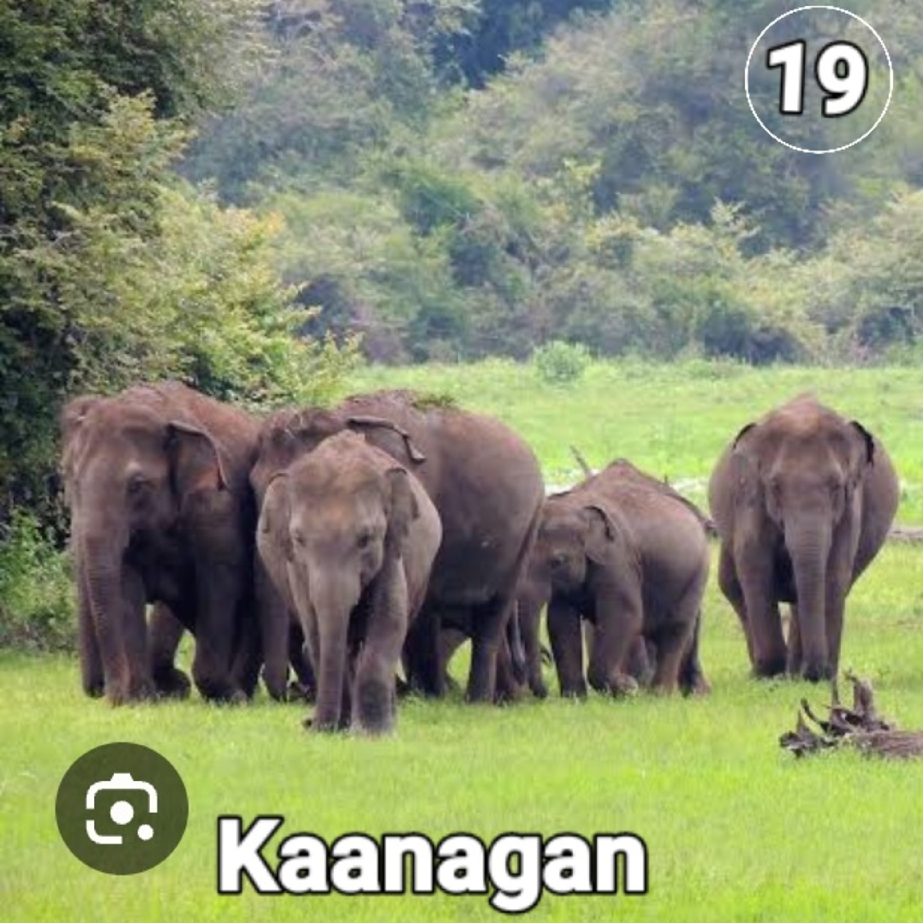 Kaanagan episode artwork