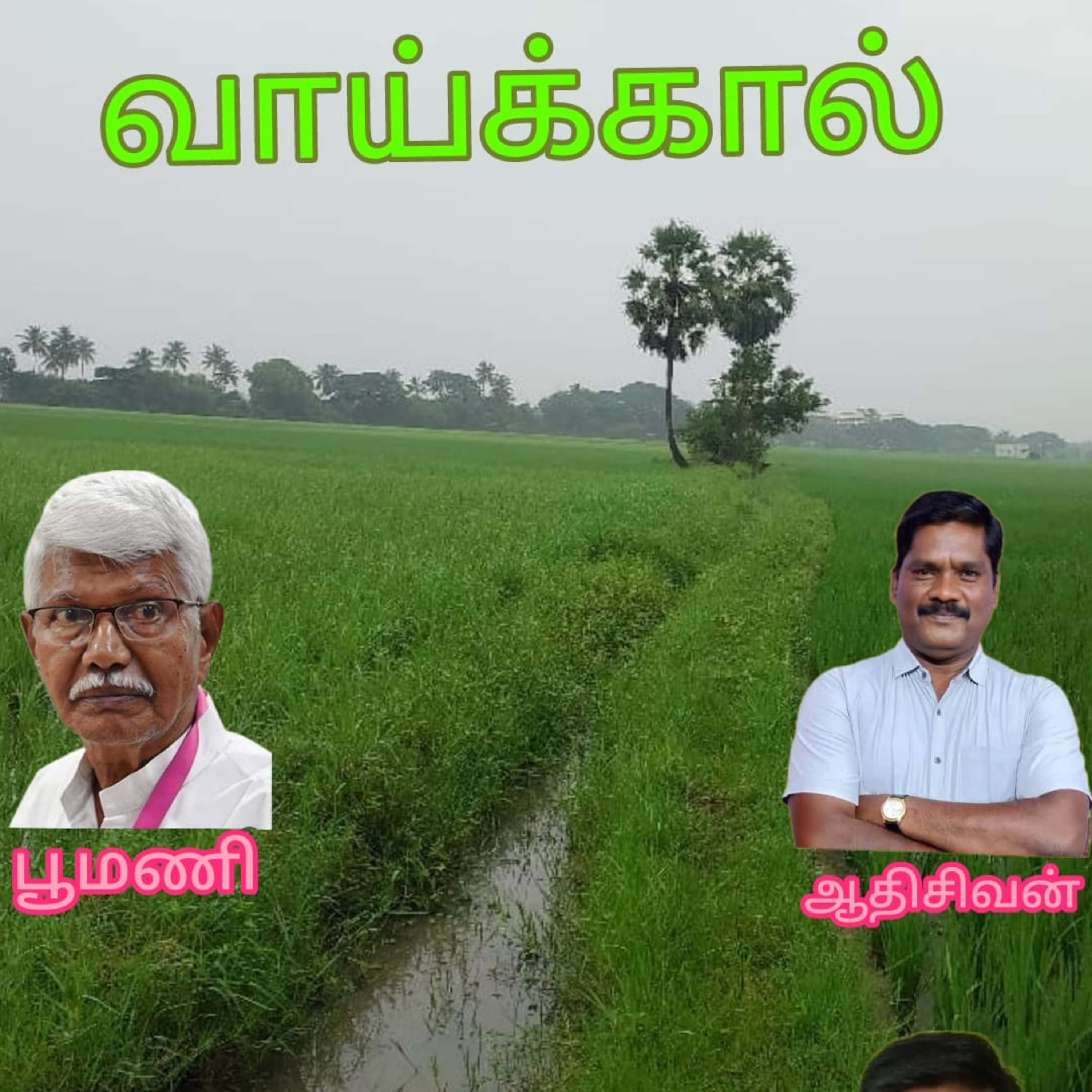 வாய்க்கால்- நாவல் எழுத்தாளர்-பூமணி, குரல்: ஆதிசிவன், பாண்டிச்சேரி தொ.எண்.9360746310. episode artwork