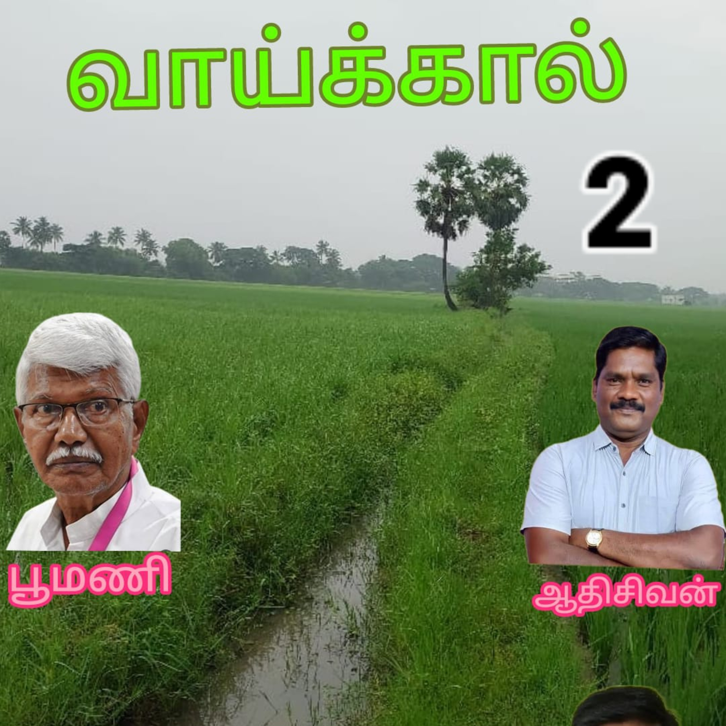 வாய்க்கால் நாவல் எழுதியவர் திரு பூமணி குரல் :ஆதிசிவன் பாண்டிச்சேரி.தொ.எண்.9360746310 episode artwork
