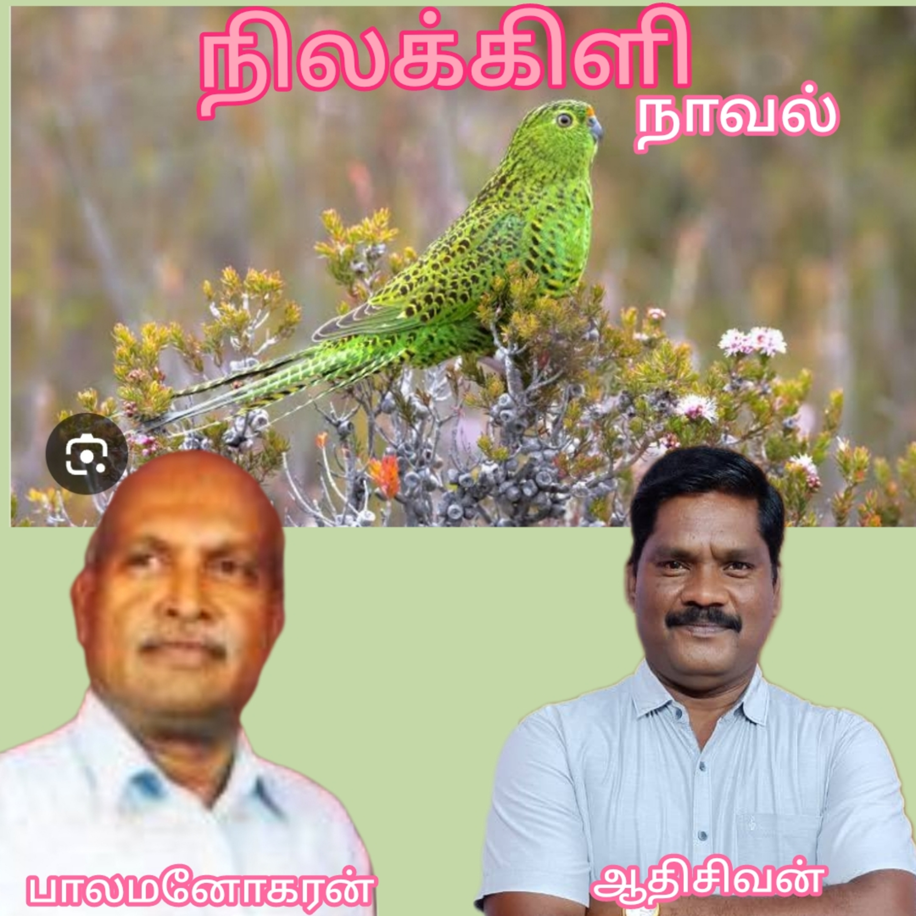 நிலக்கிளி-நாவல்.எழுதியவர்.
ஈழத்து எழுத்தாளர்.திரு.பாலமனோகரன் 
குரல்.ஆதிசிவன்.பாண்டிச்சேரி.9443805798 episode artwork