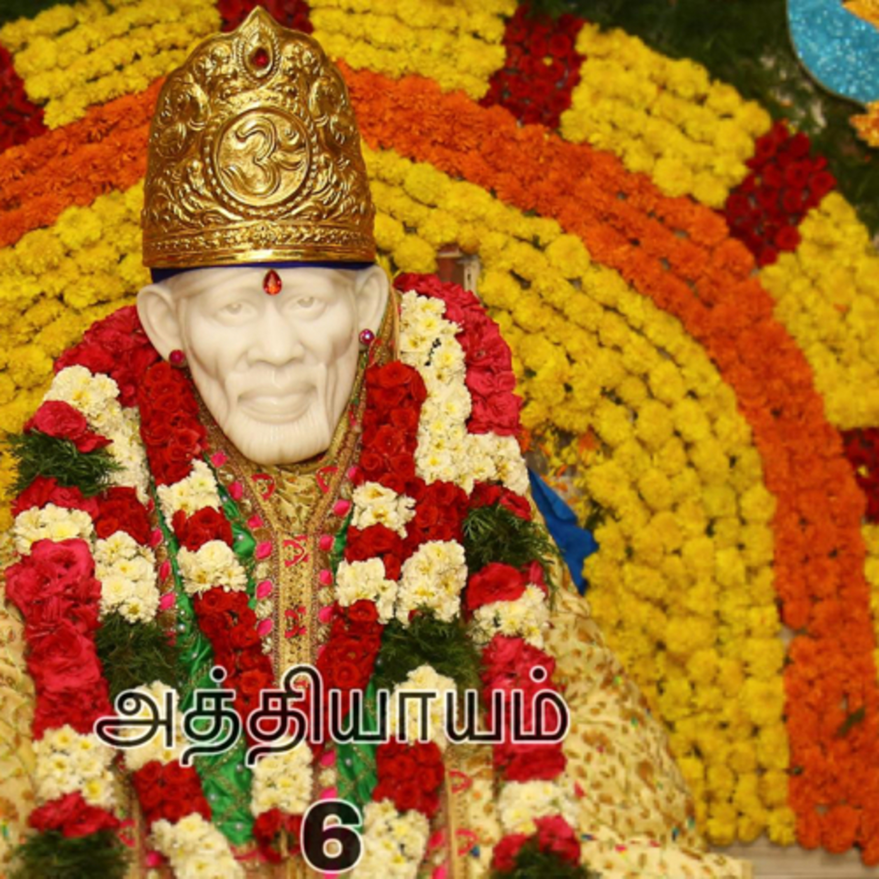 Sai Satcharitram in tamil (சாய் சத்சரிதம் தமிழில்)