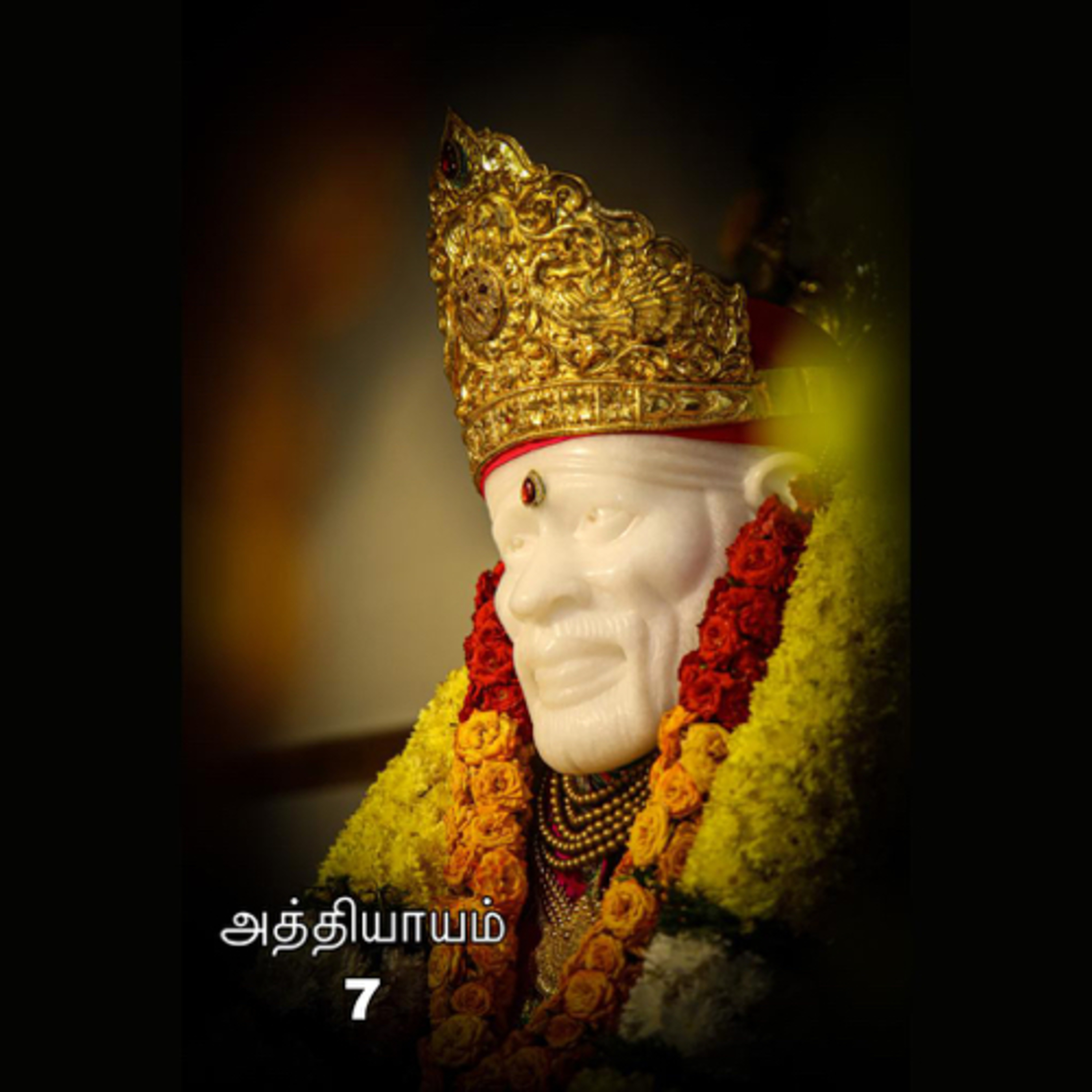Sai Satcharitram in tamil (சாய் சத்சரிதம் தமிழில்)