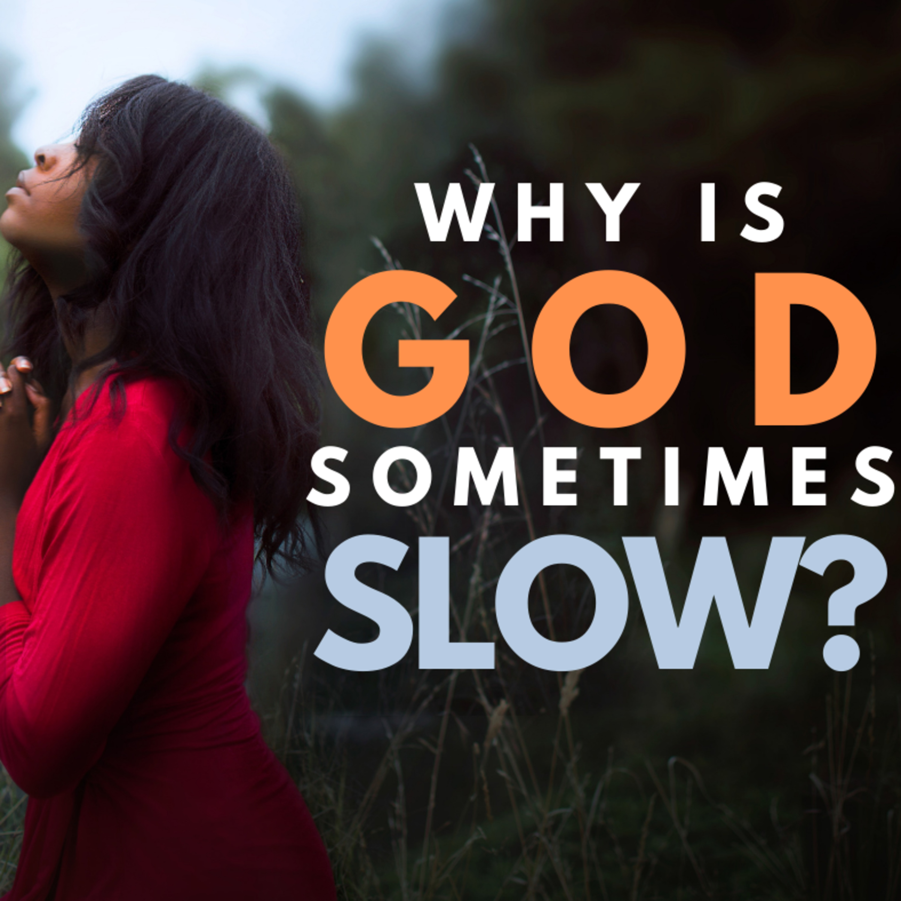 Dodong Cacanando Podcast: Insights from the Garden