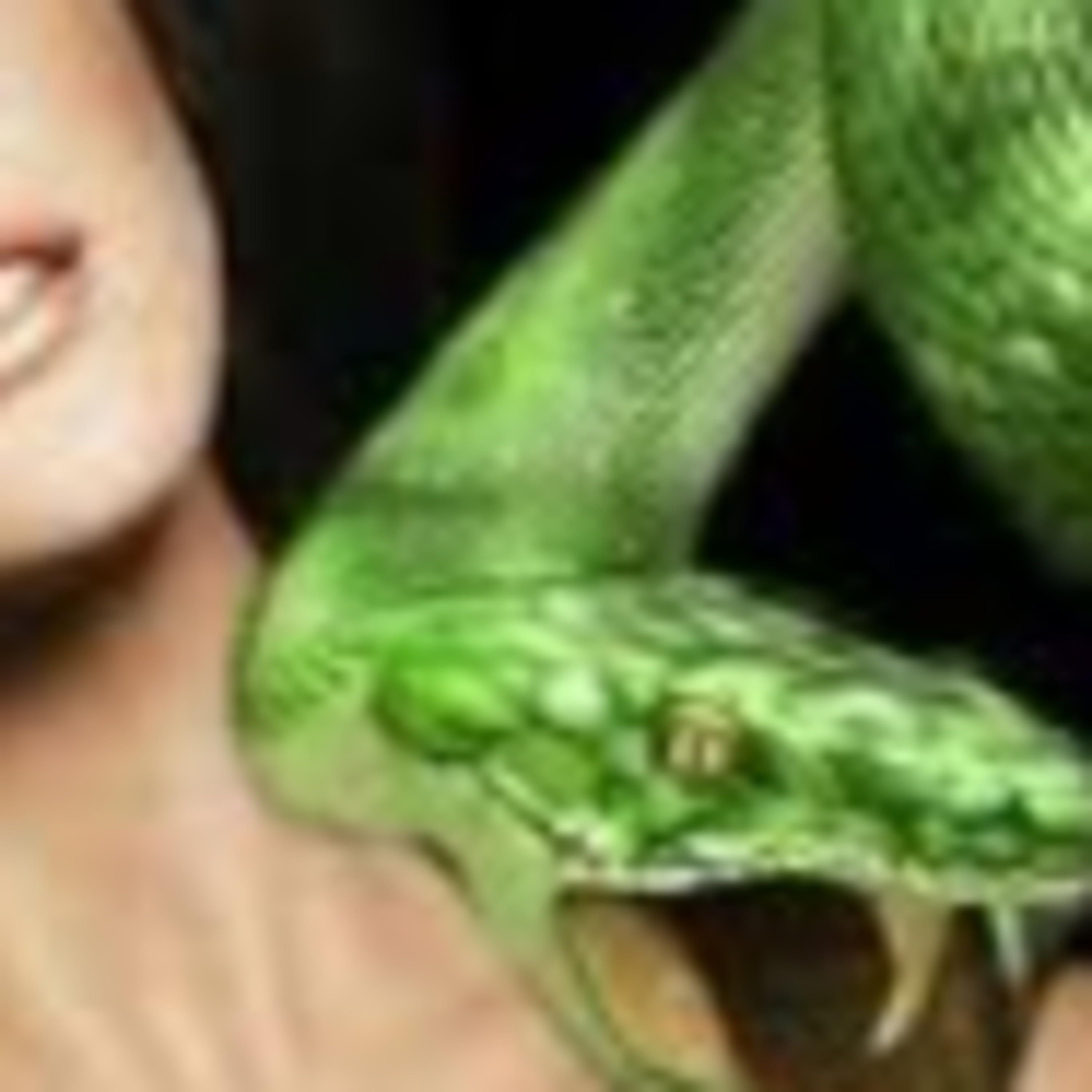 CHOICES: The Snake Compulsion