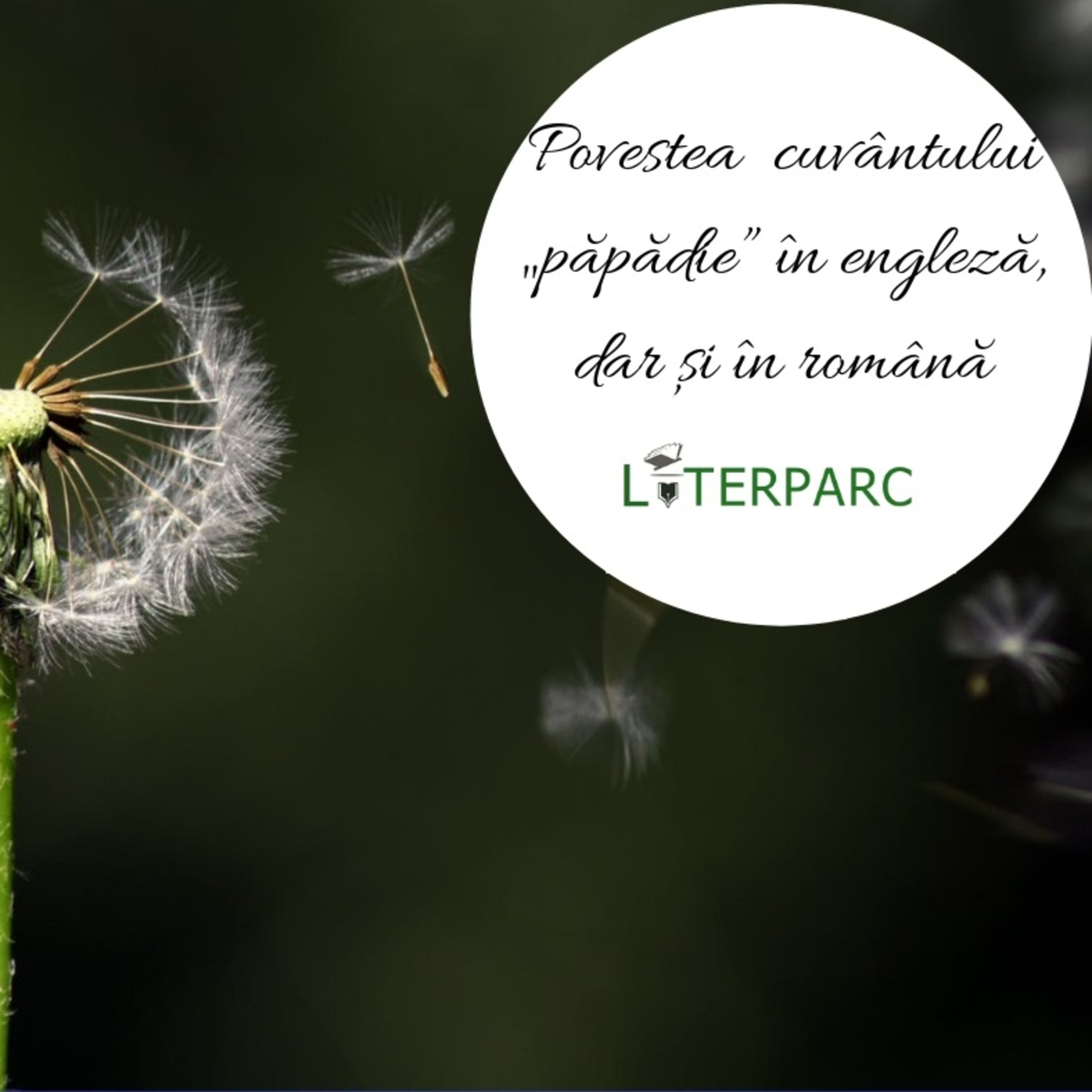 Literparc
