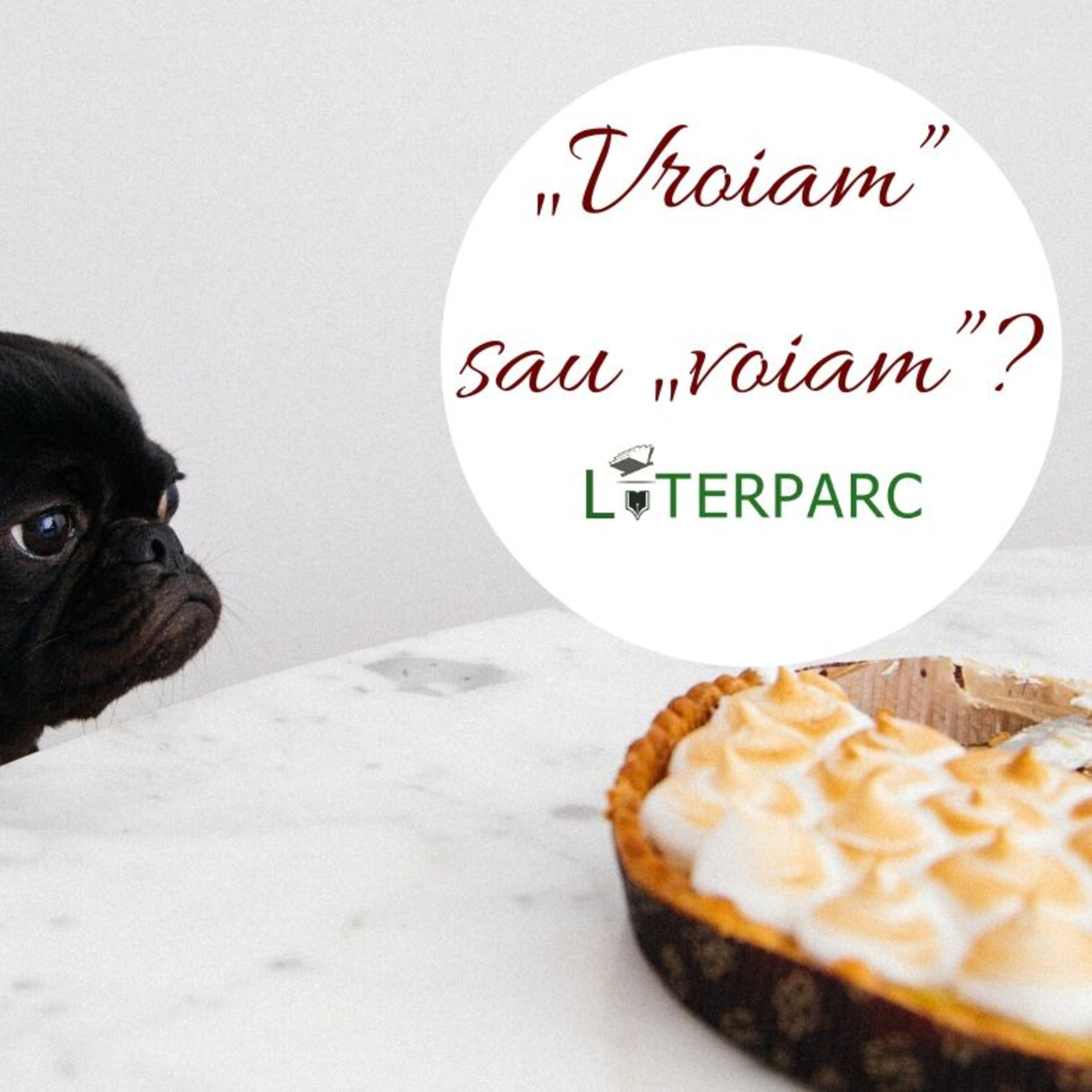 Episode #9 - „Vroiam” sau „voiam”? Cum e corect?