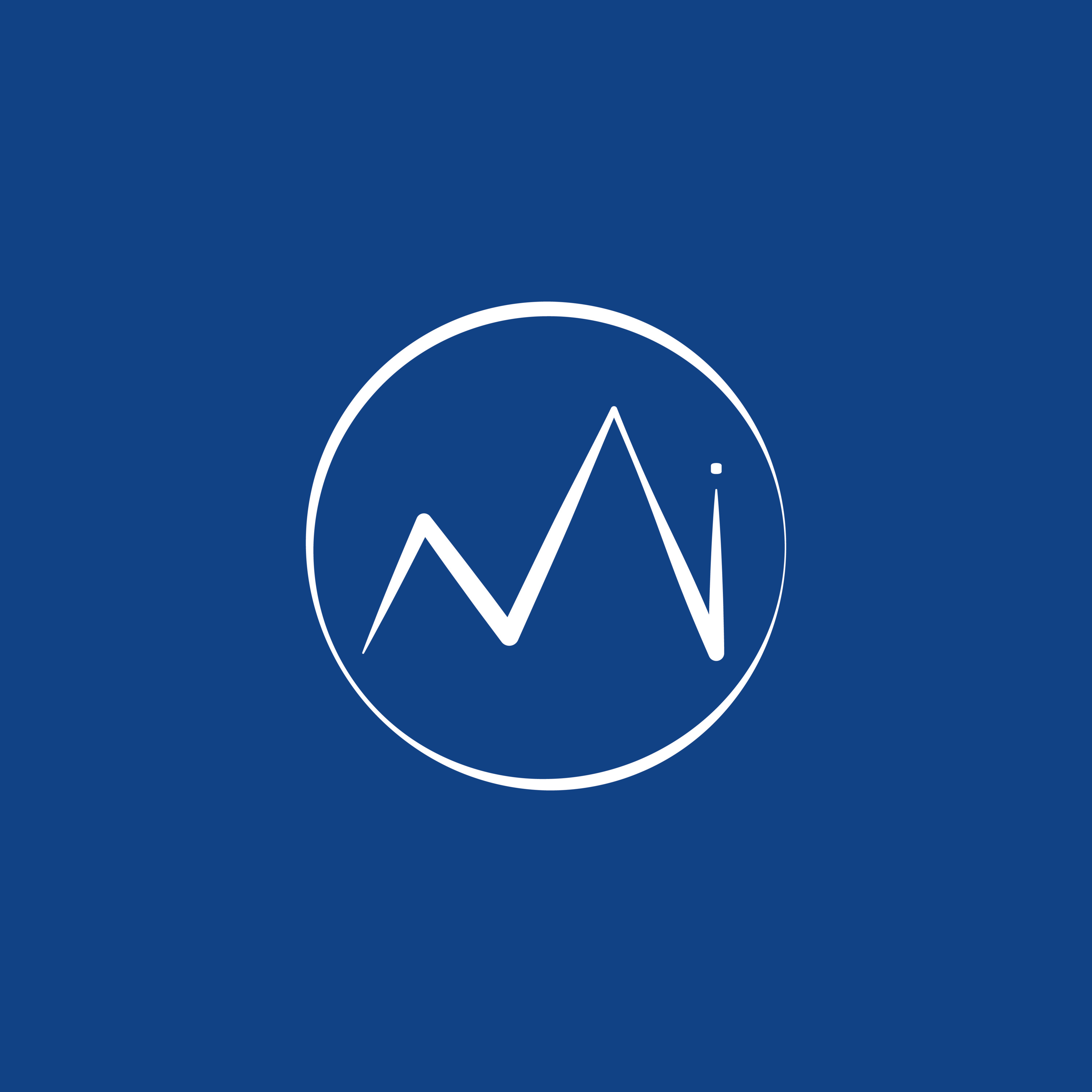 La Materia Impertinente