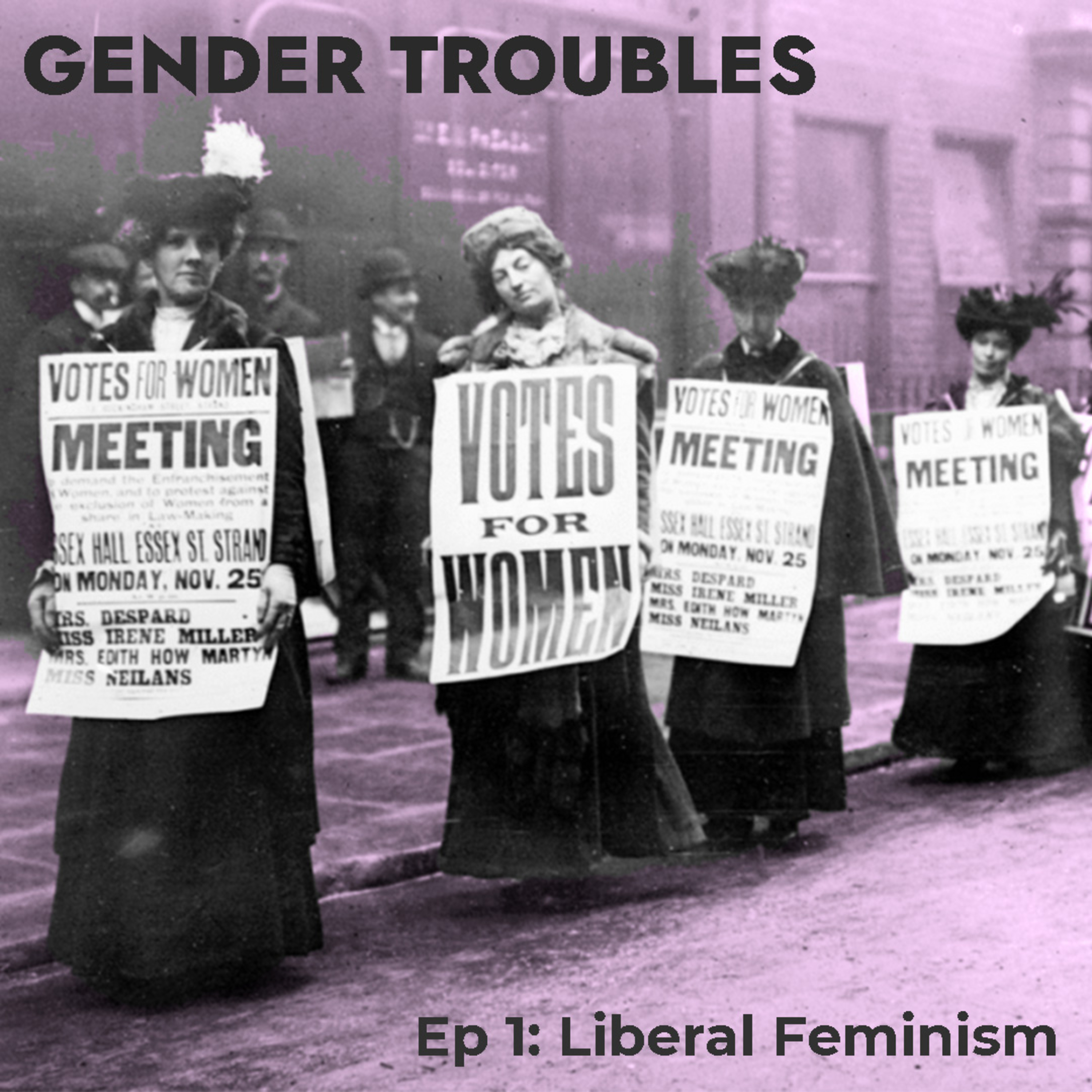 Gender Troubles