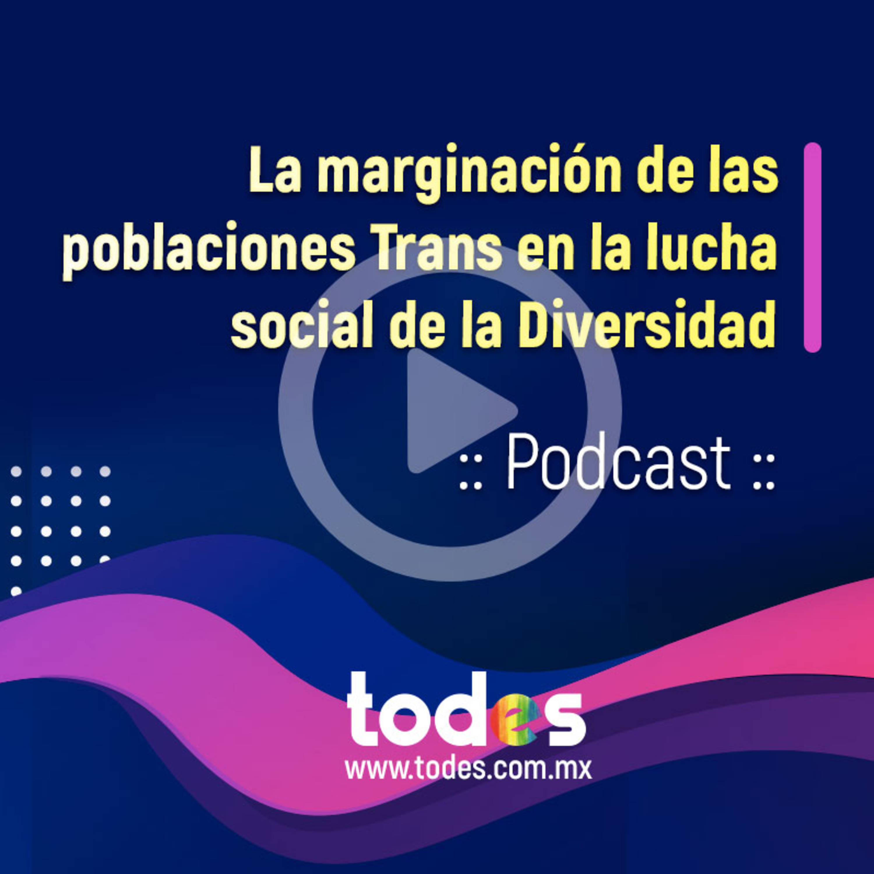La marginación de las poblaciones Trans en la lucha social de la Diversidad. episode artwork