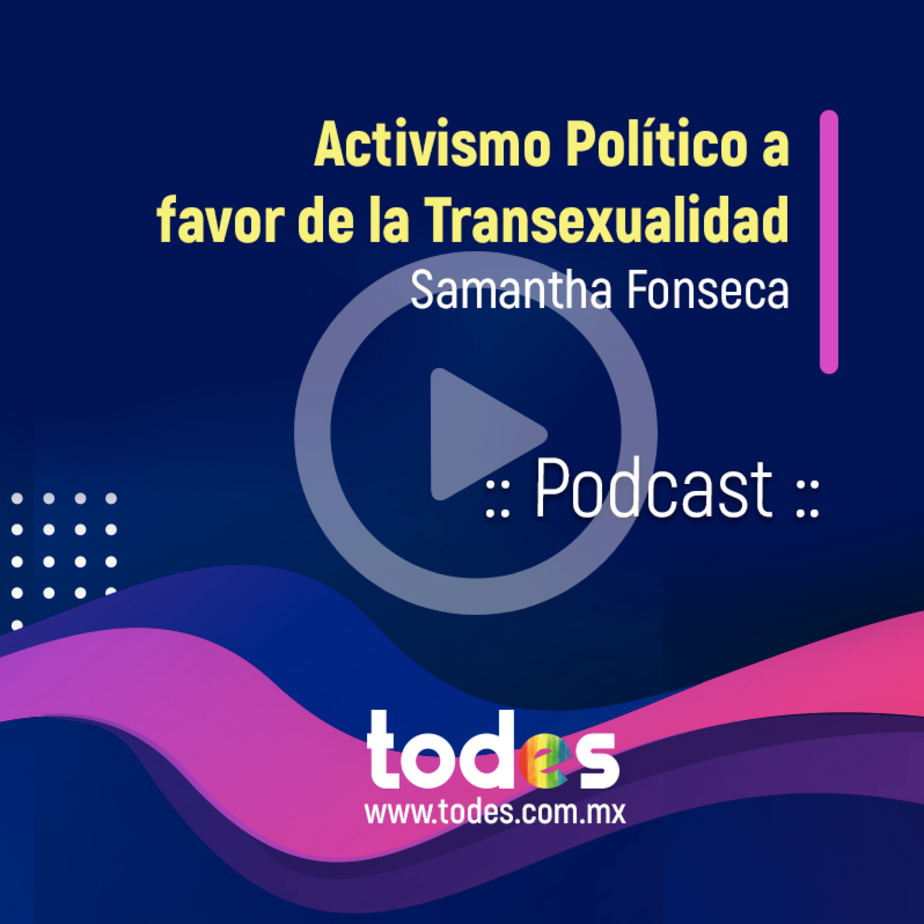 Activismo Político a favor de la Transexualidad. episode artwork