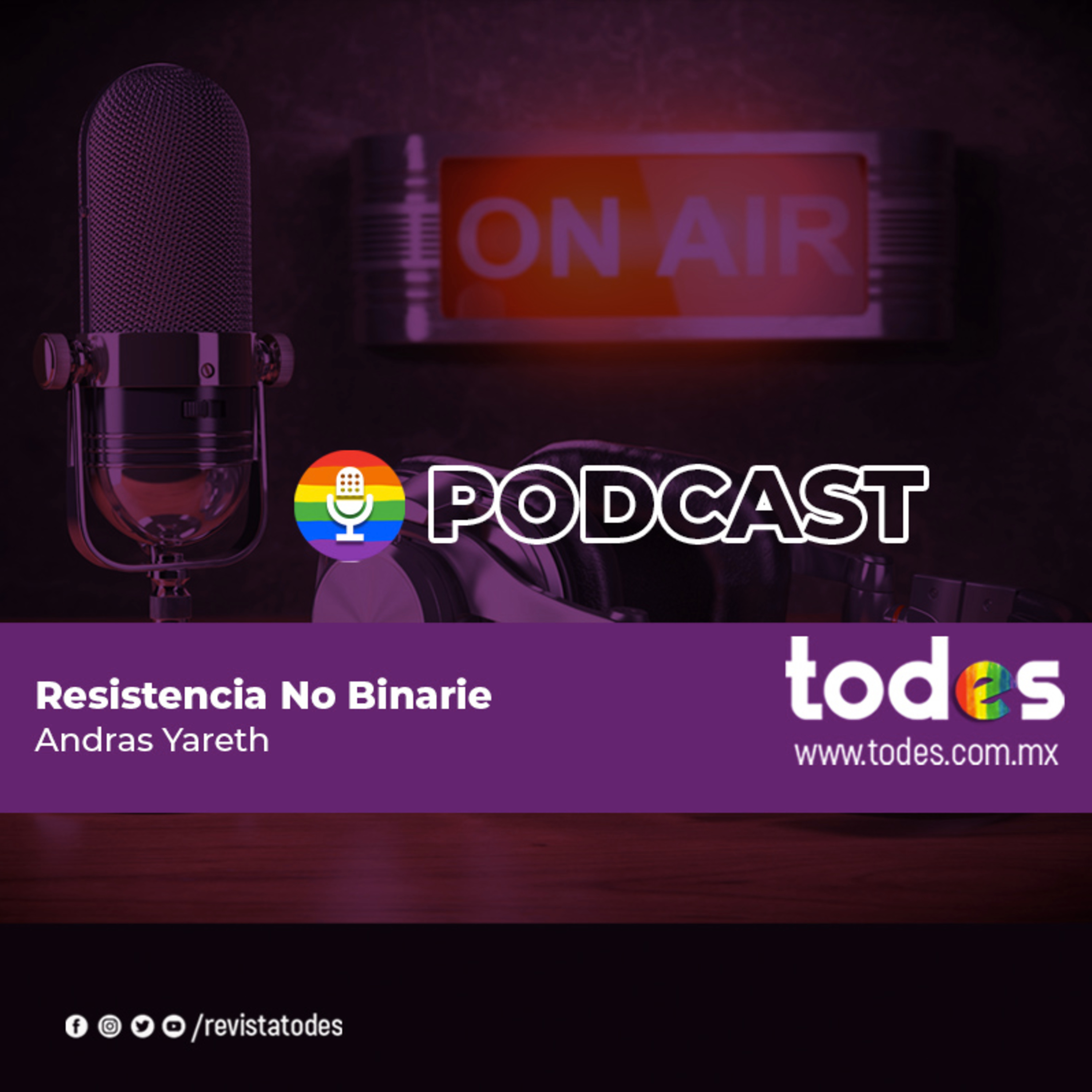 Resistencia No Binarie episode artwork