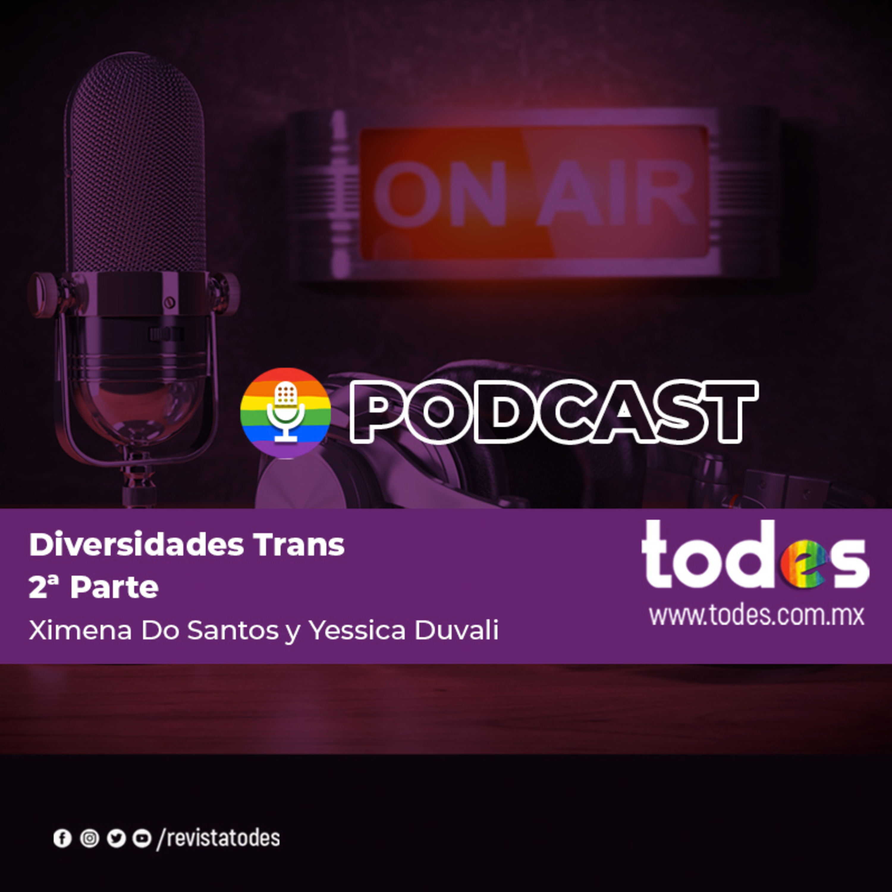 Diversidades Trans 2ª Parte
