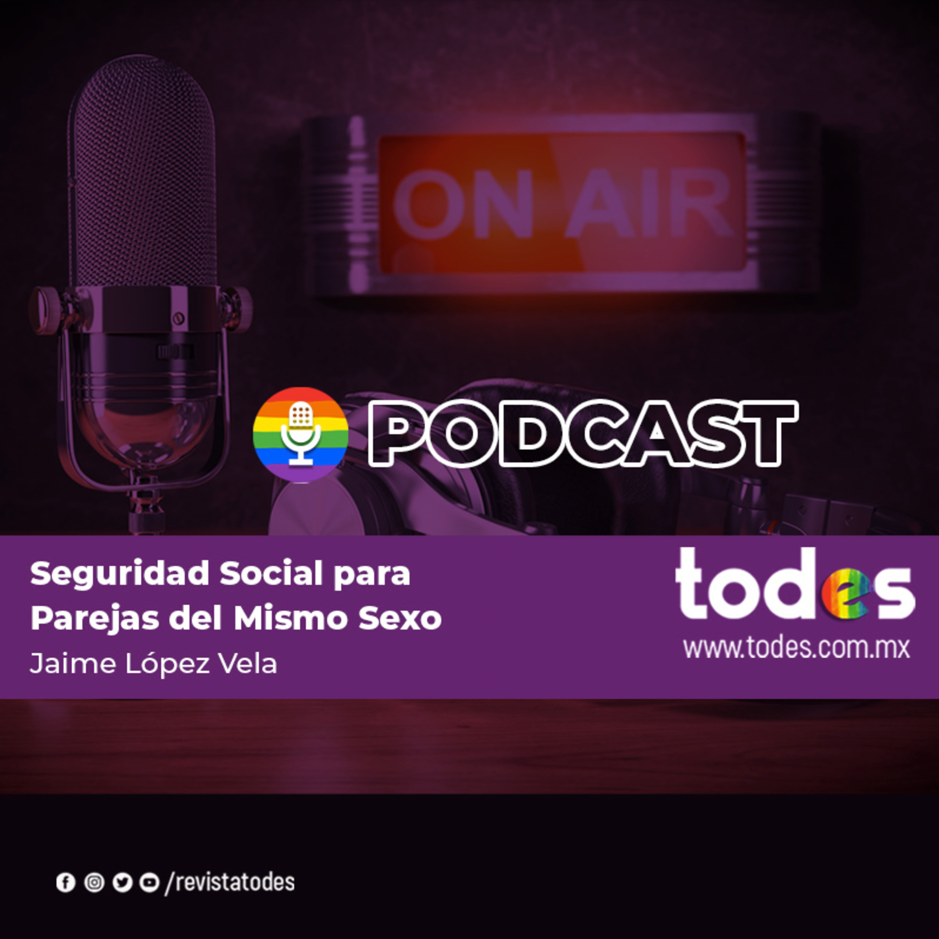 Seguridad Social para Parejas del Mismo Sexo episode artwork
