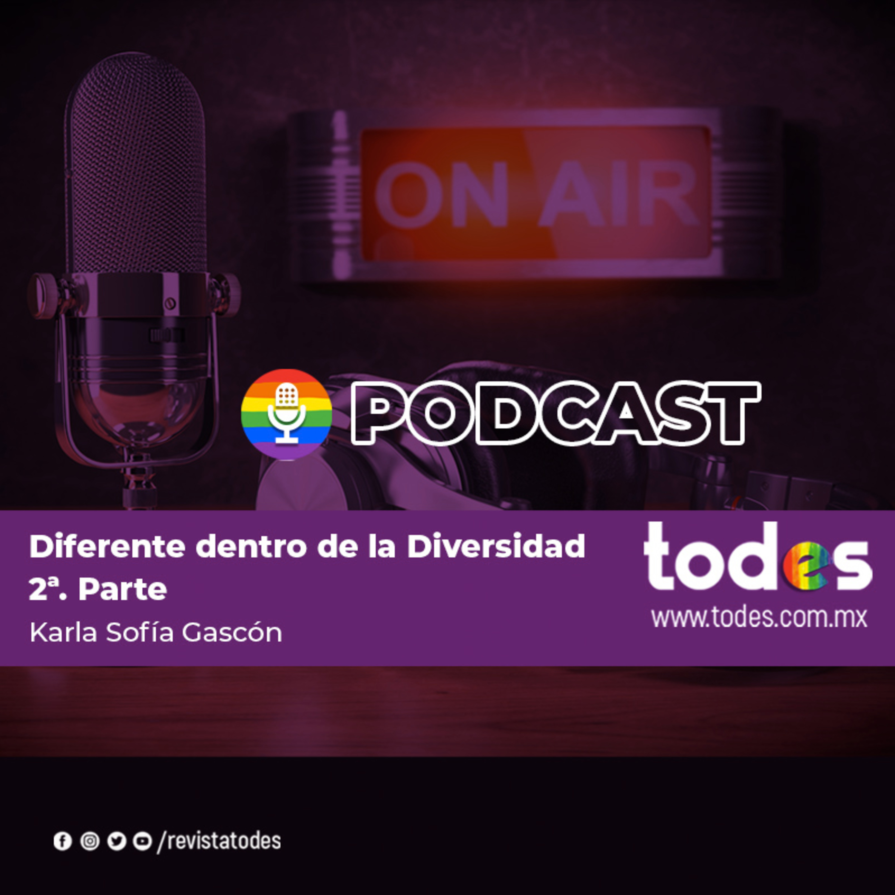 Diferente dentro de la Diversidad 2ª. Parte episode artwork