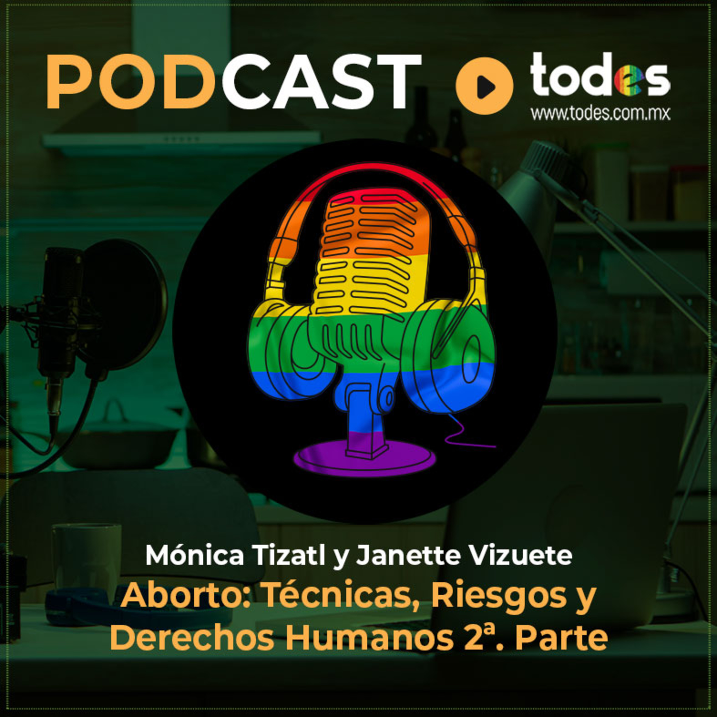 Aborto: Técnicas, Riesgos y Derechos Humanos 2ª. Parte episode artwork