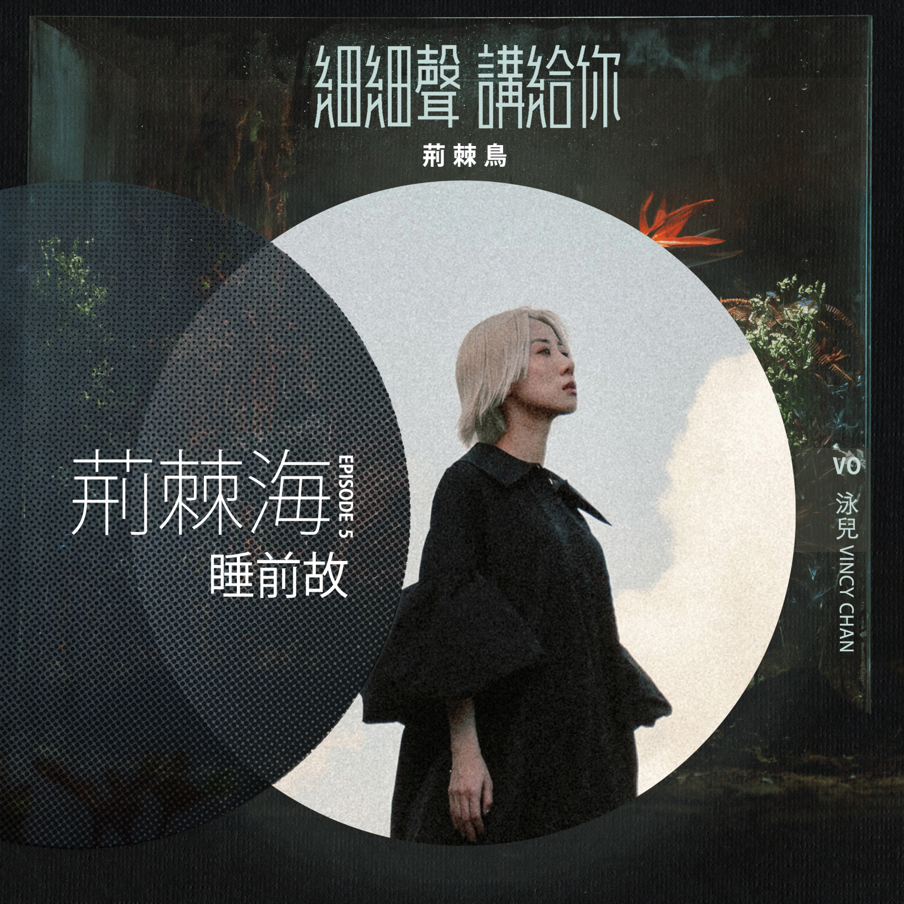 荊棘海 EP 5丨睡前故丨荊棘鳥
