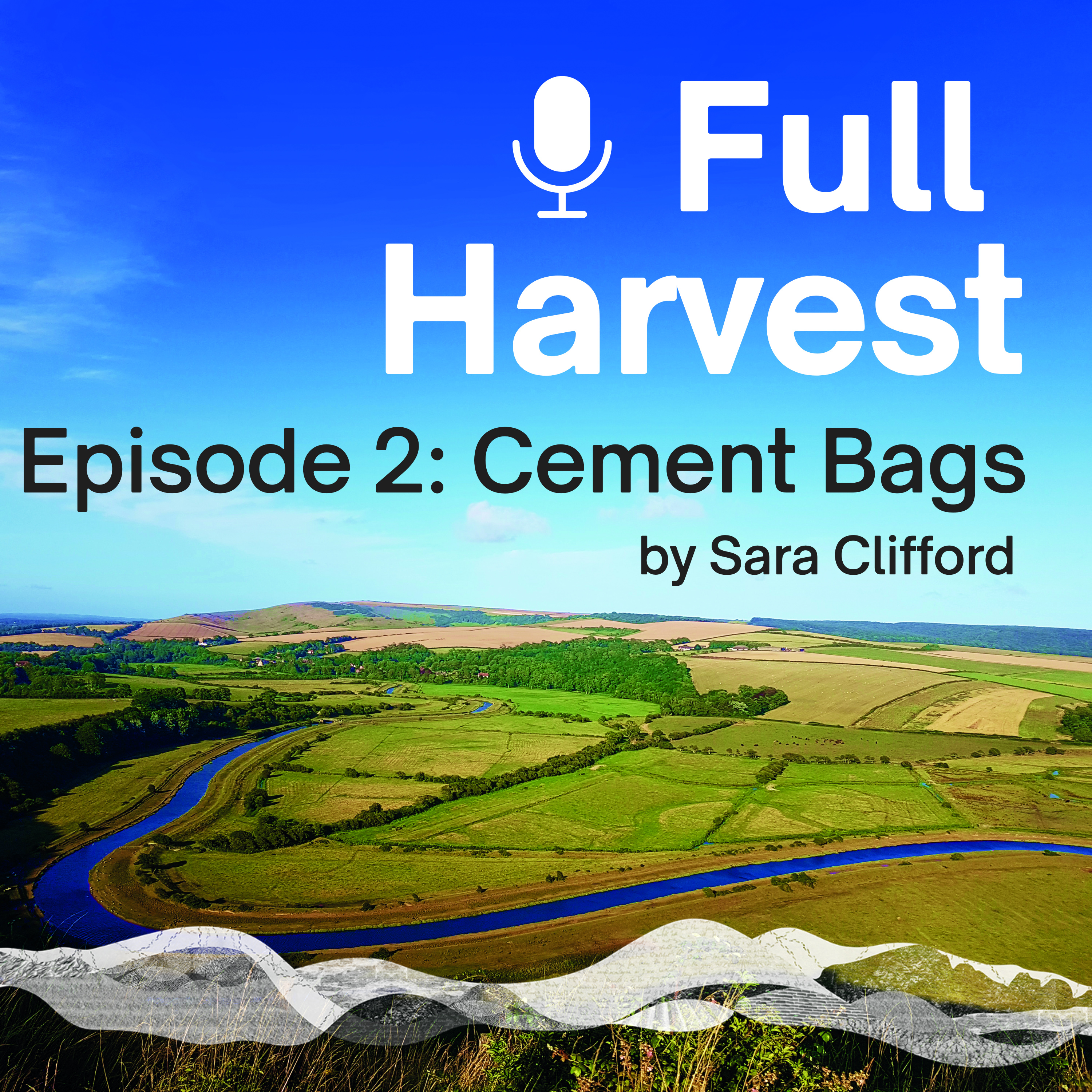 Episode 2: Cement Bags by Sara Clifford episode artwork