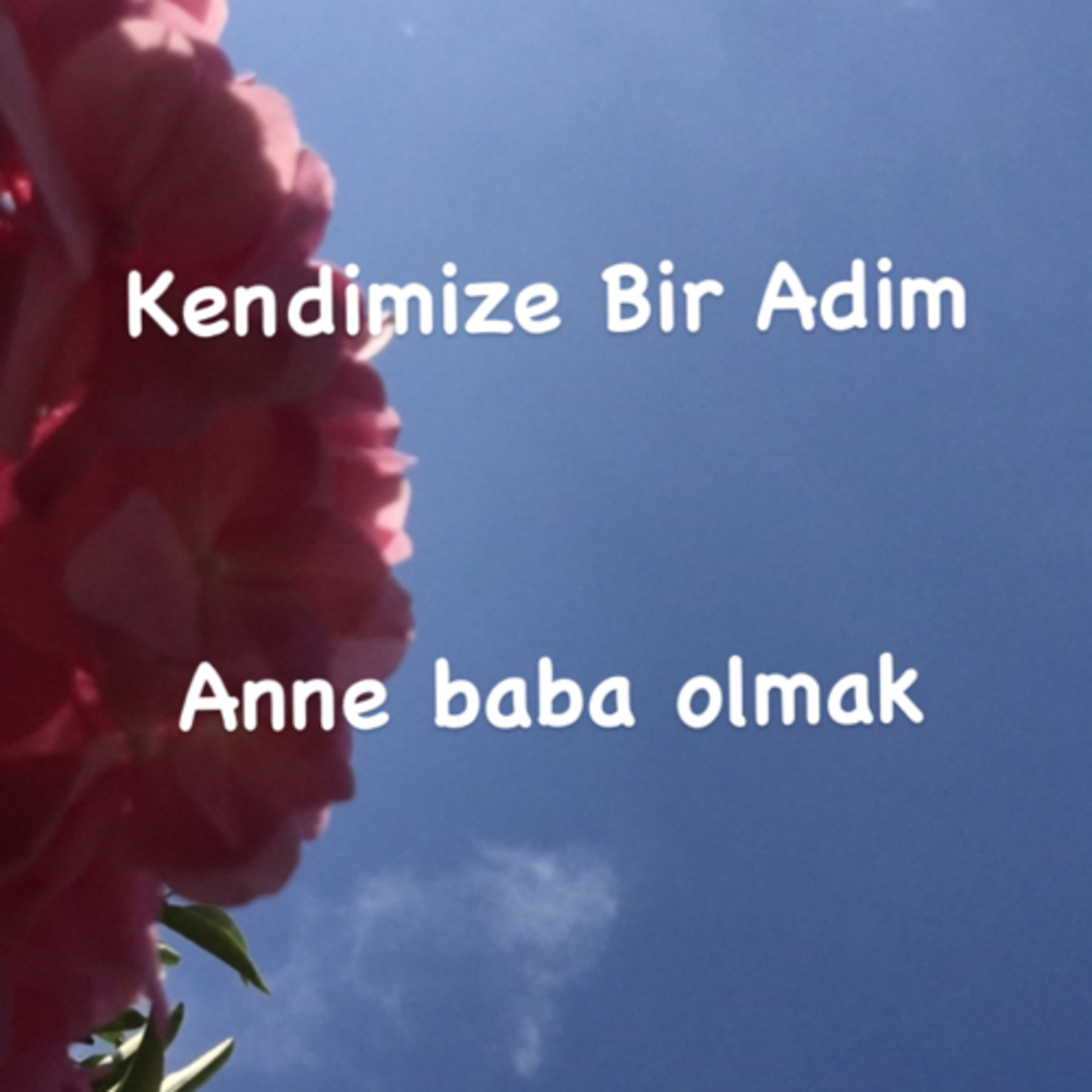 Kendimize bir adim