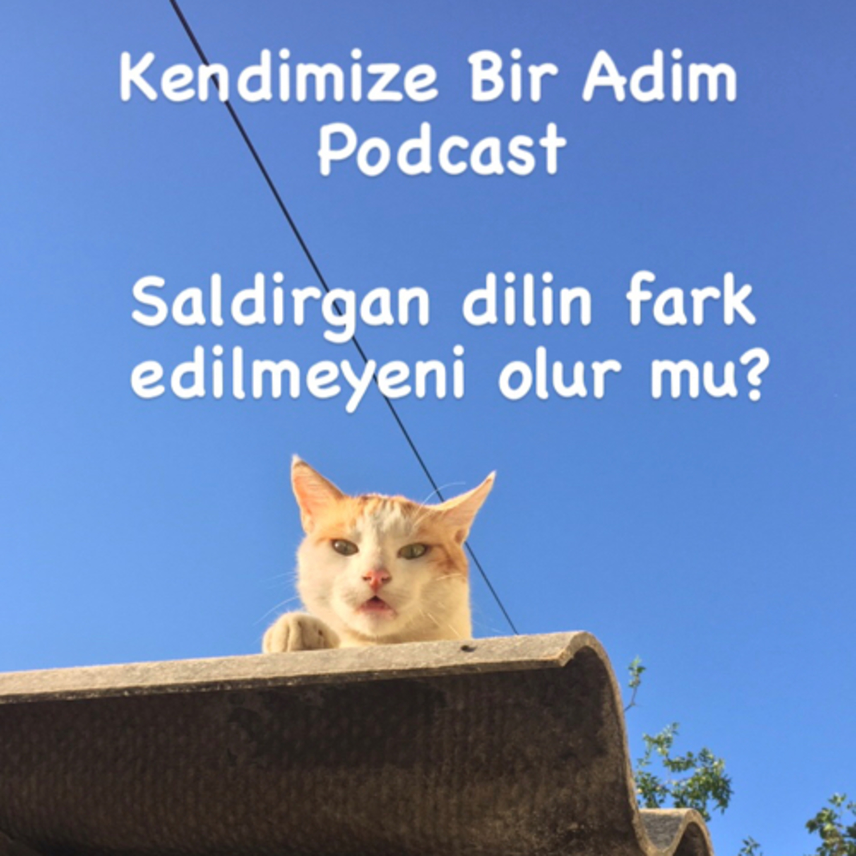 Kendimize bir adim