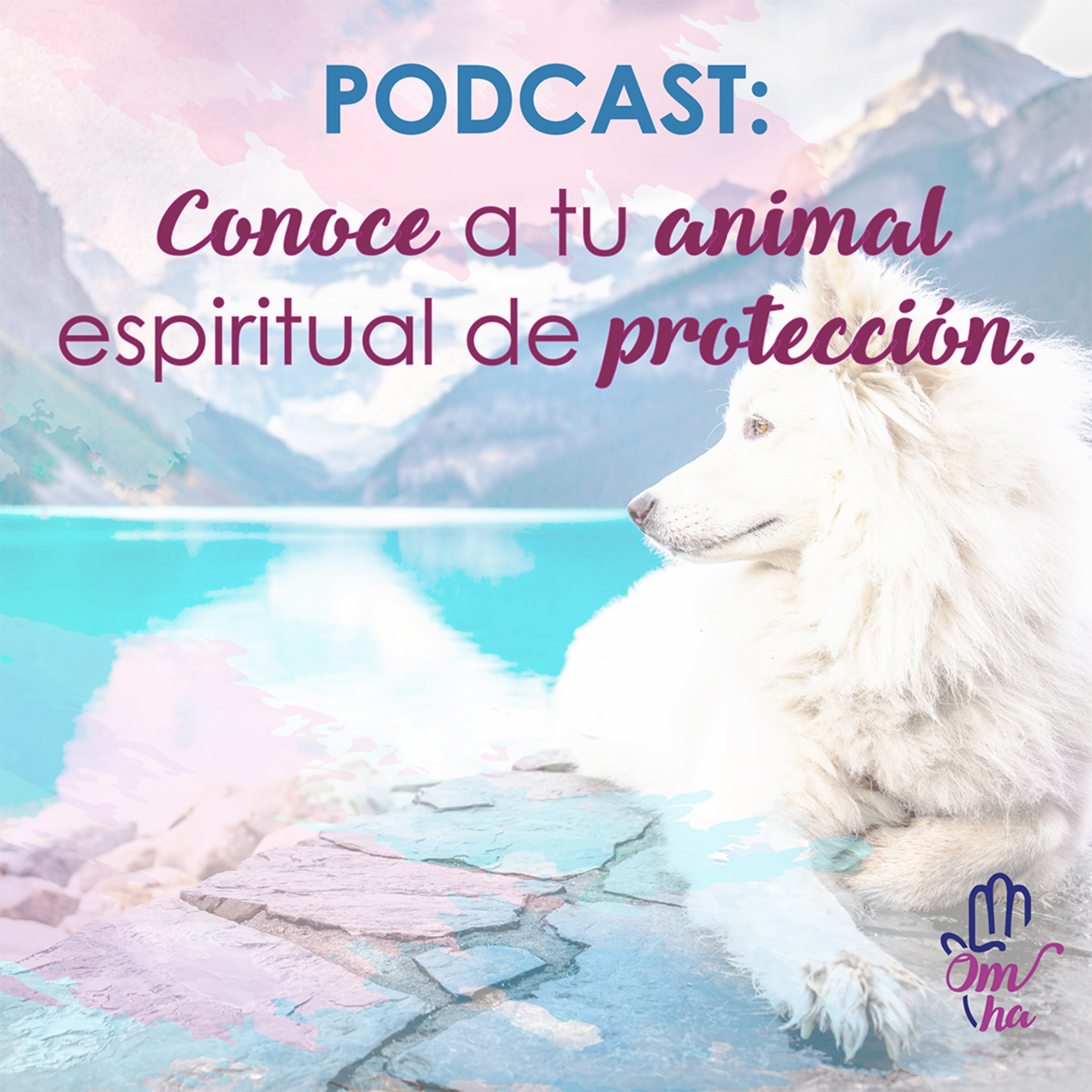Activista Espiritual
