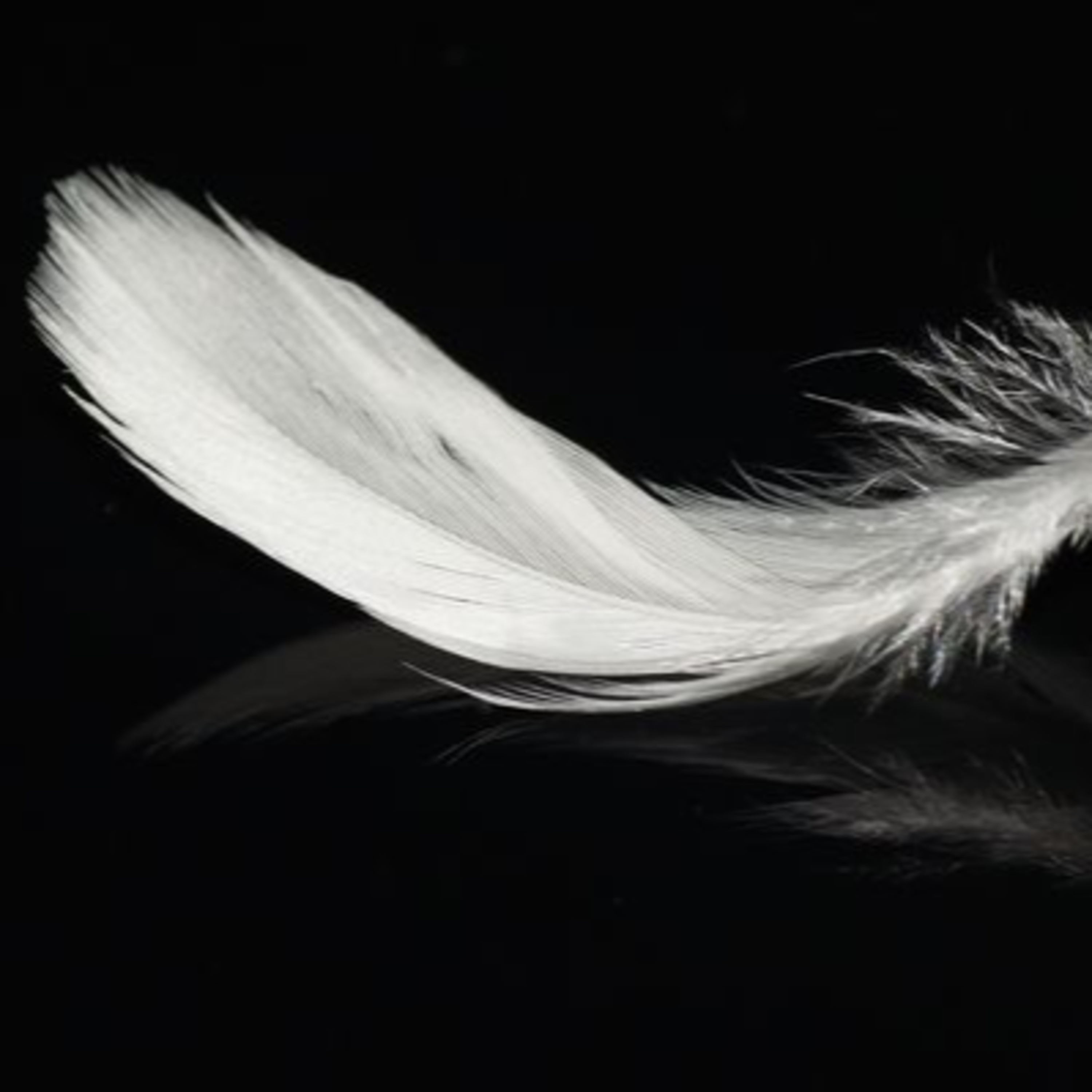 Become Nostalgic About Today