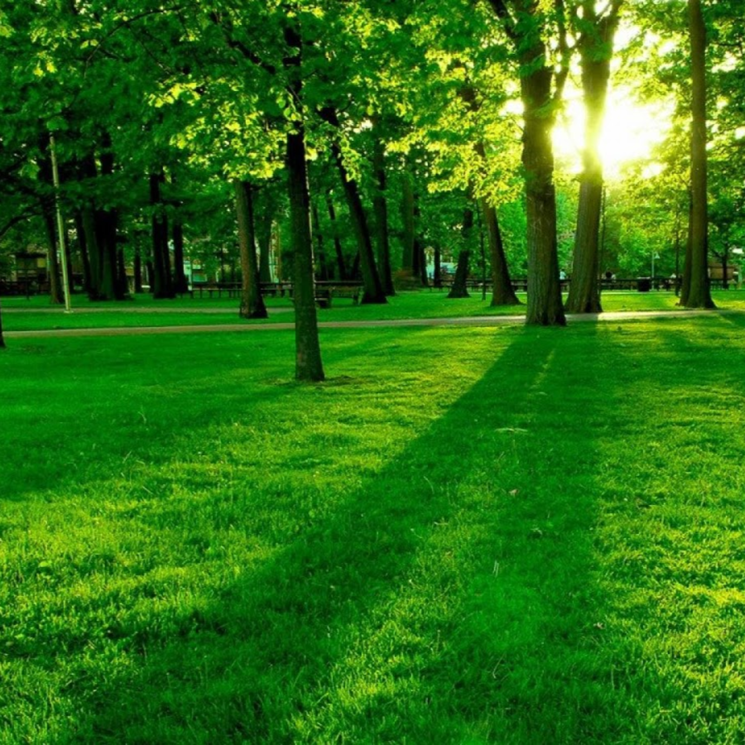 Become Nostalgic About Today