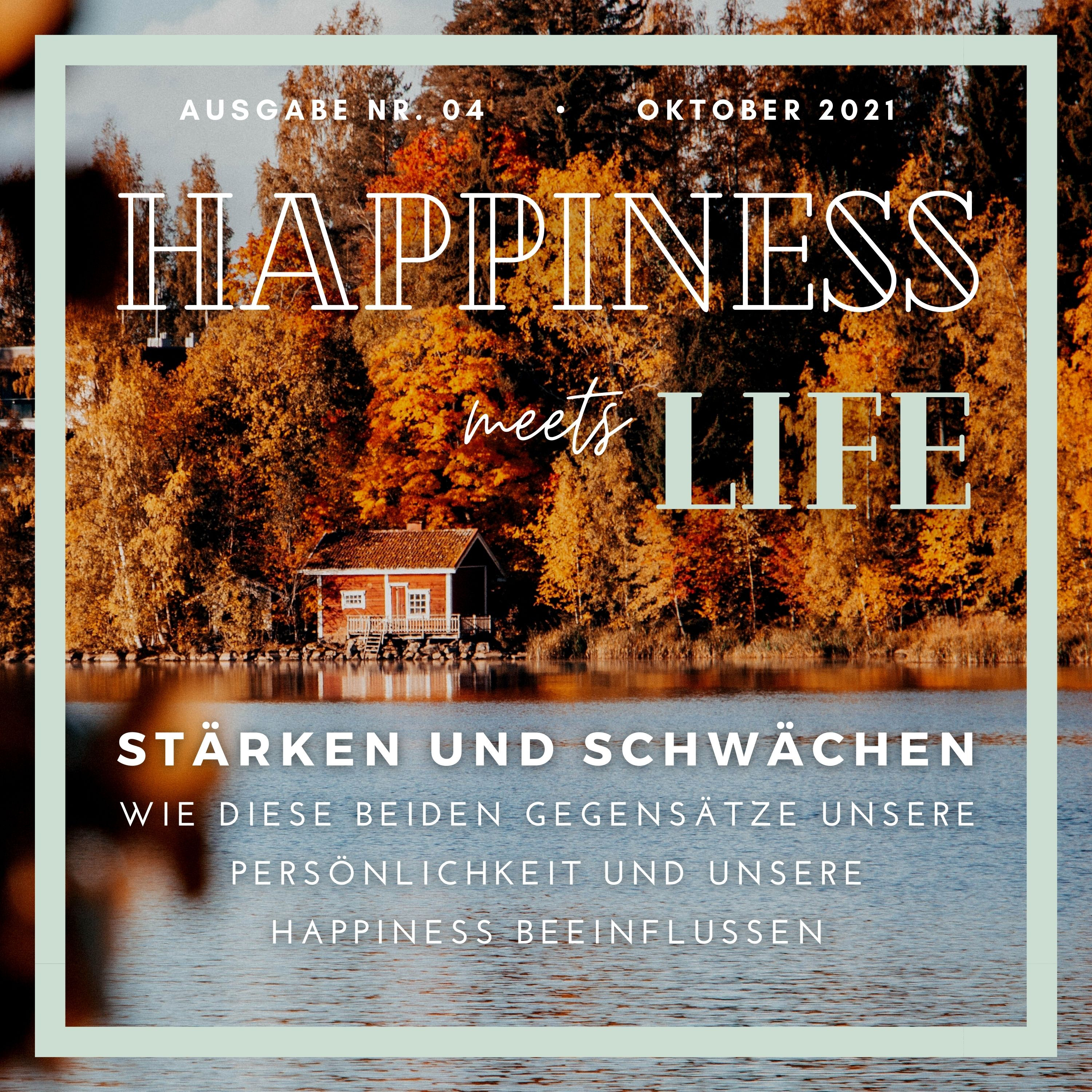 Ausgabe 04 - Stärken und Schwächen episode artwork