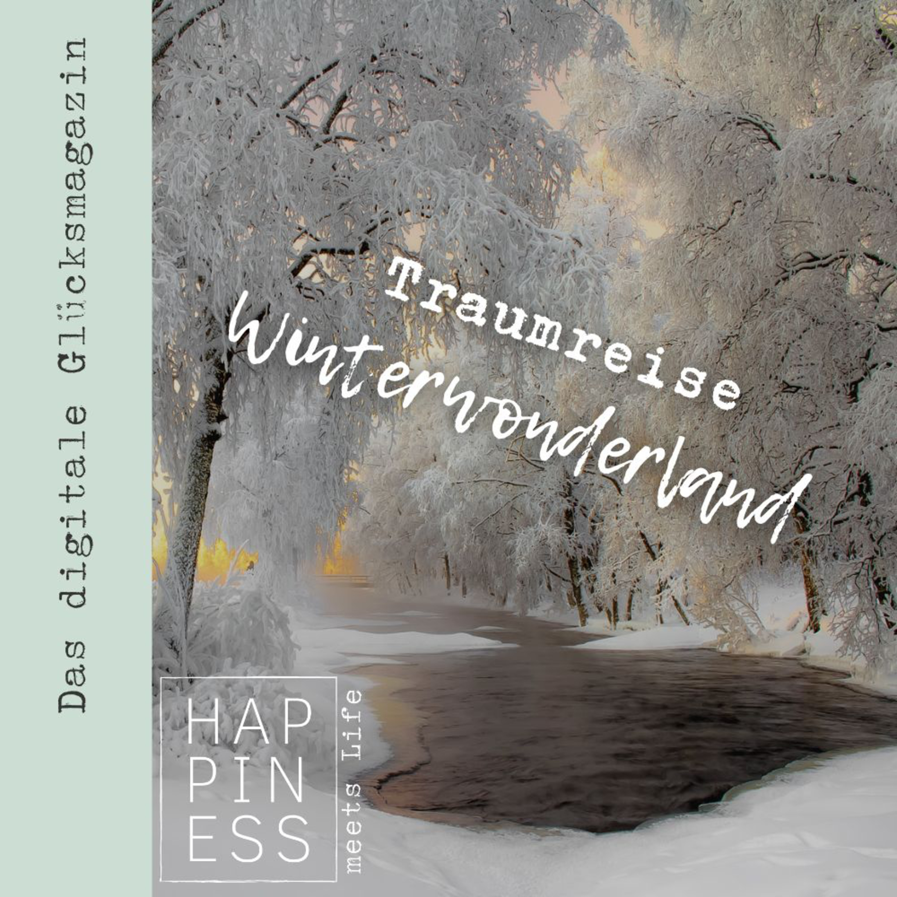Sonderfolge: Traumreise auf den Weihnachtsmarkt episode artwork