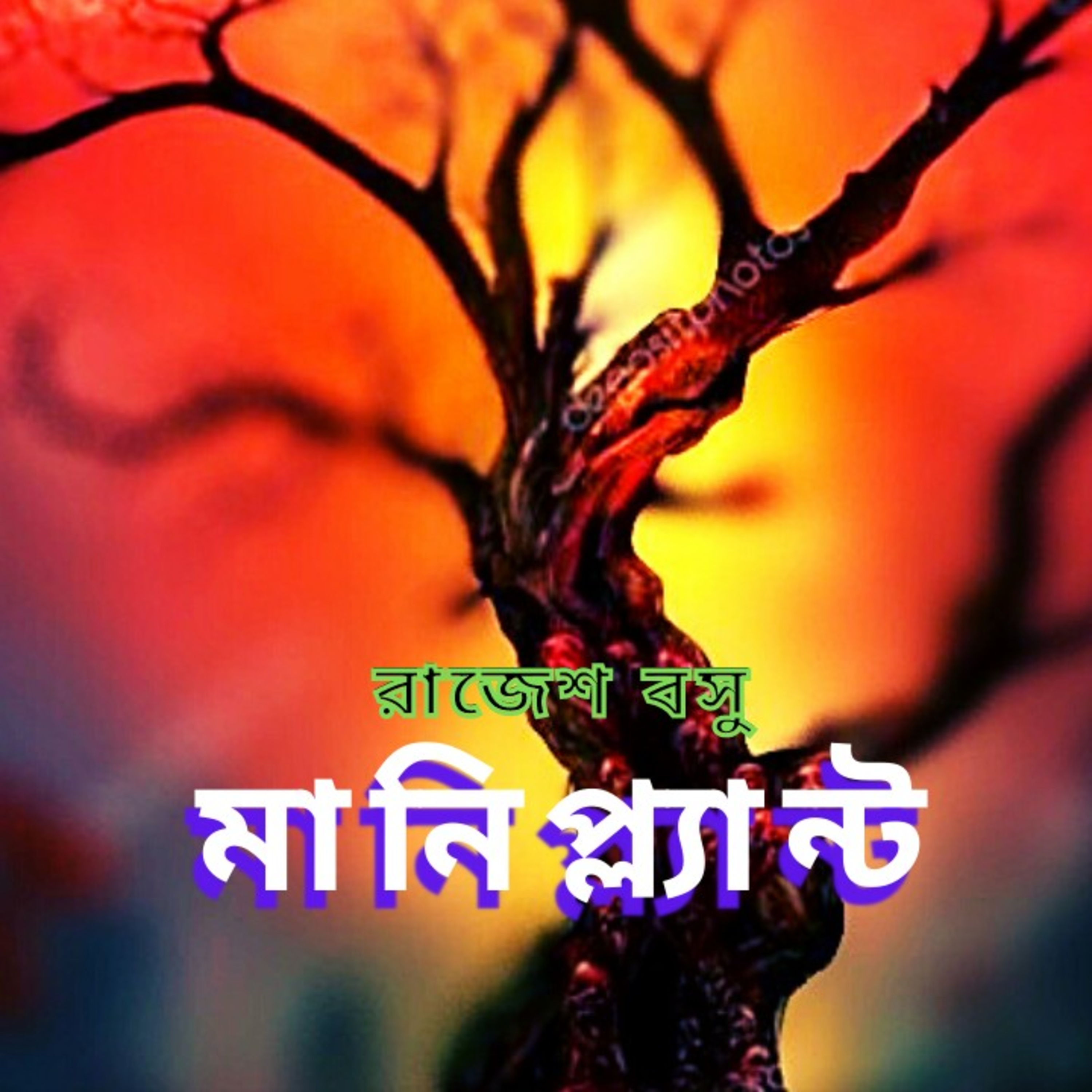 STORY NIGHTS with Babon (Bengali Audio Story Podcast)