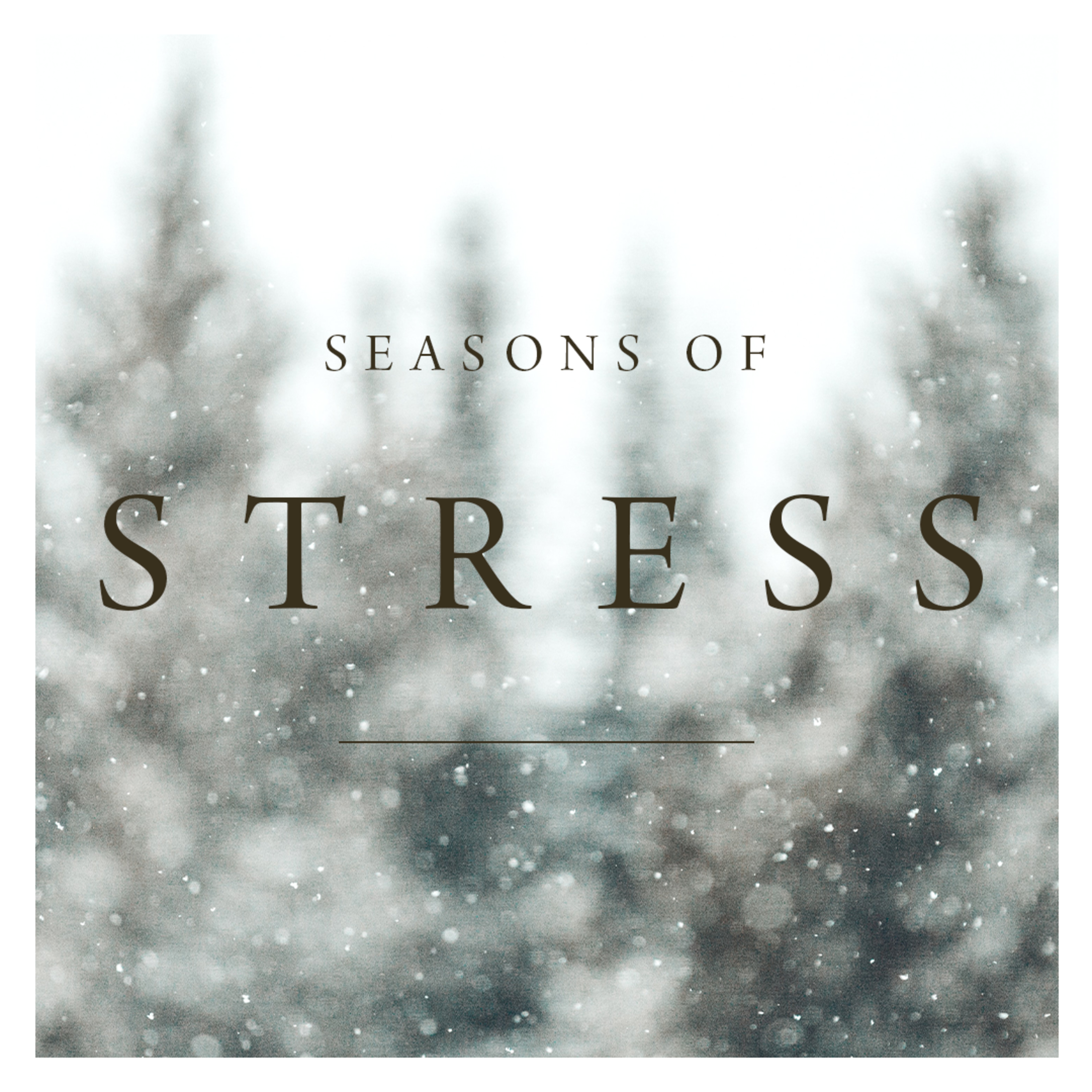 CornerstoneSF\'s Sunday Message