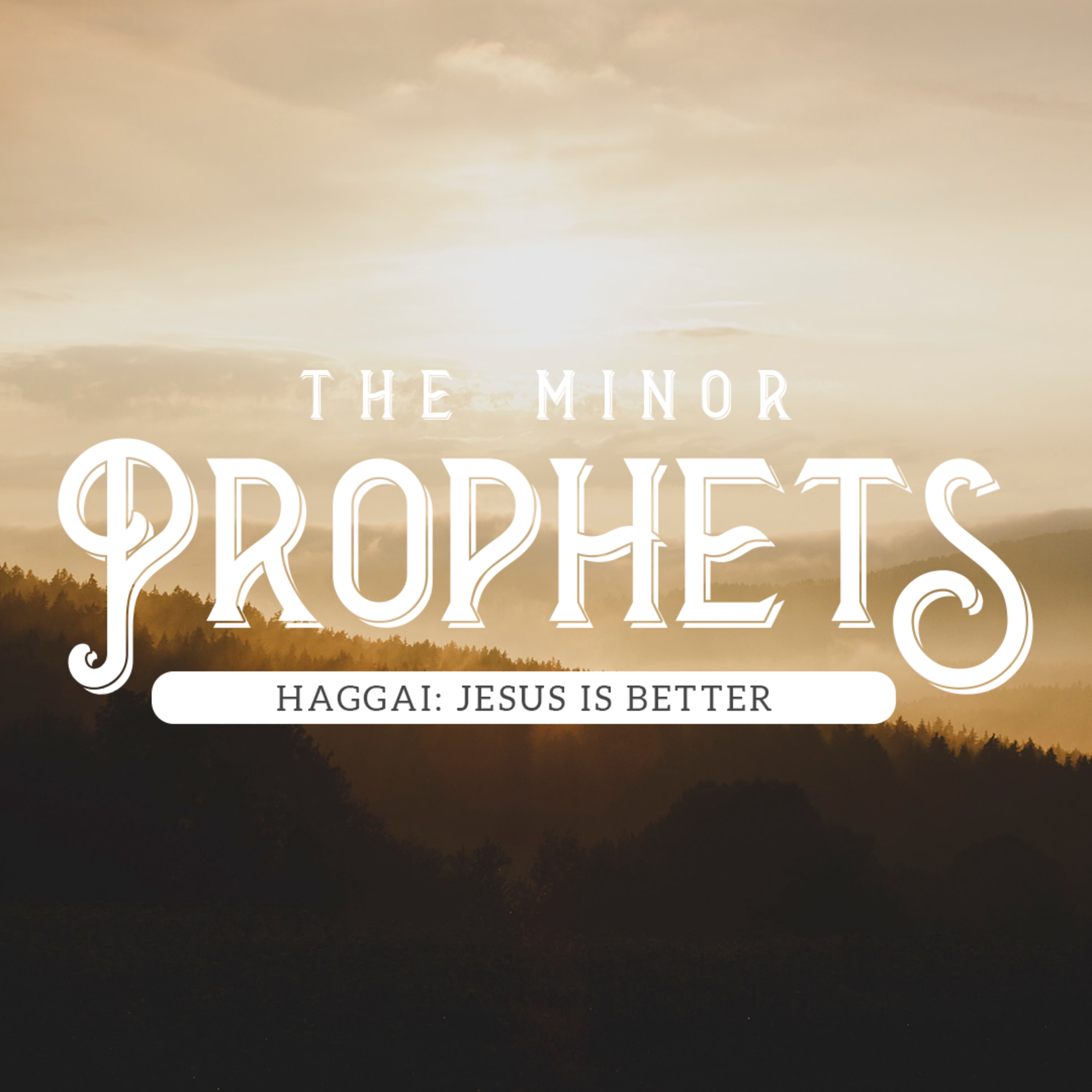 The Minor Prophets - Haggai  episode artwork