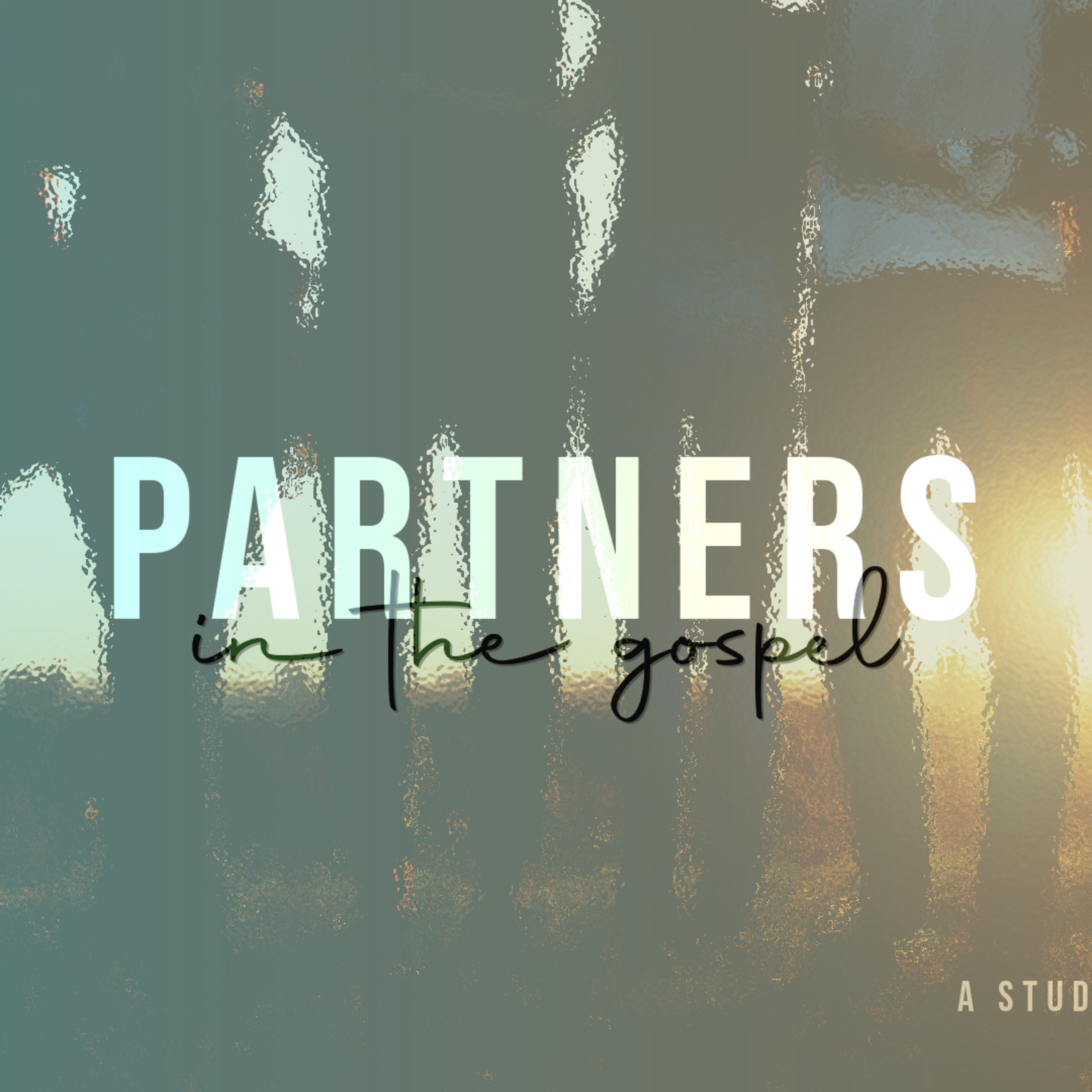 Partners in the Gospel - Week 6  episode artwork