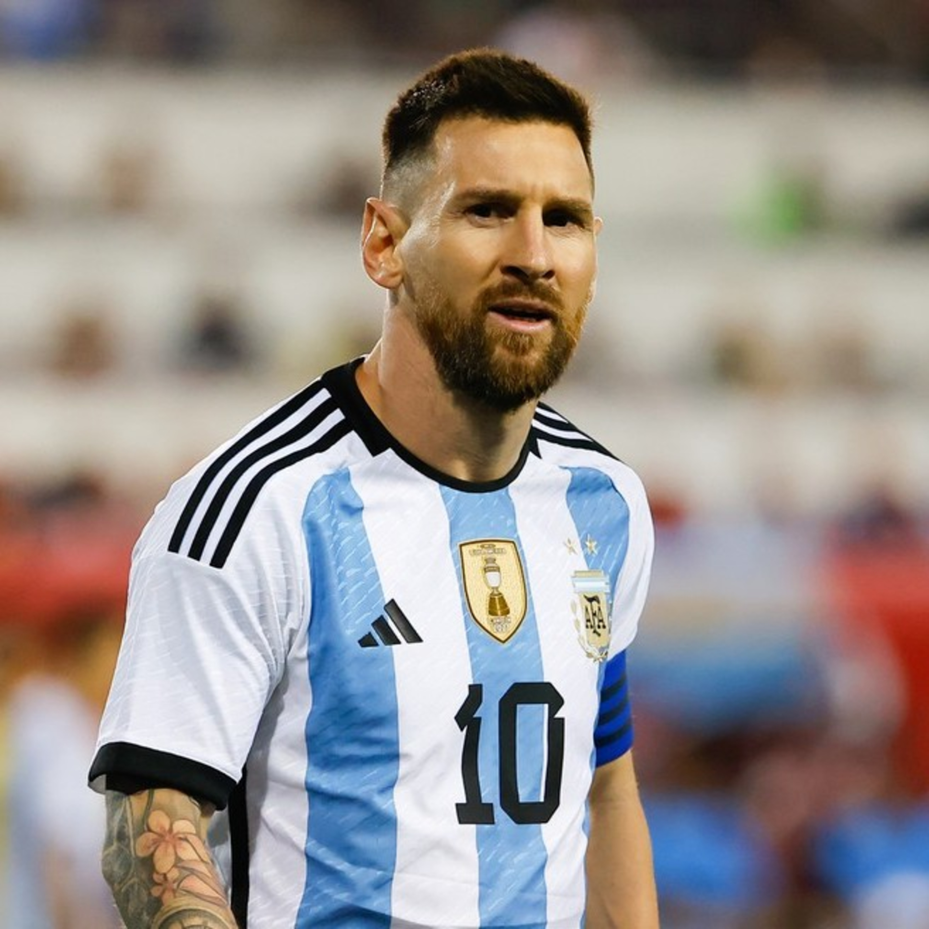 Febre de Futebol